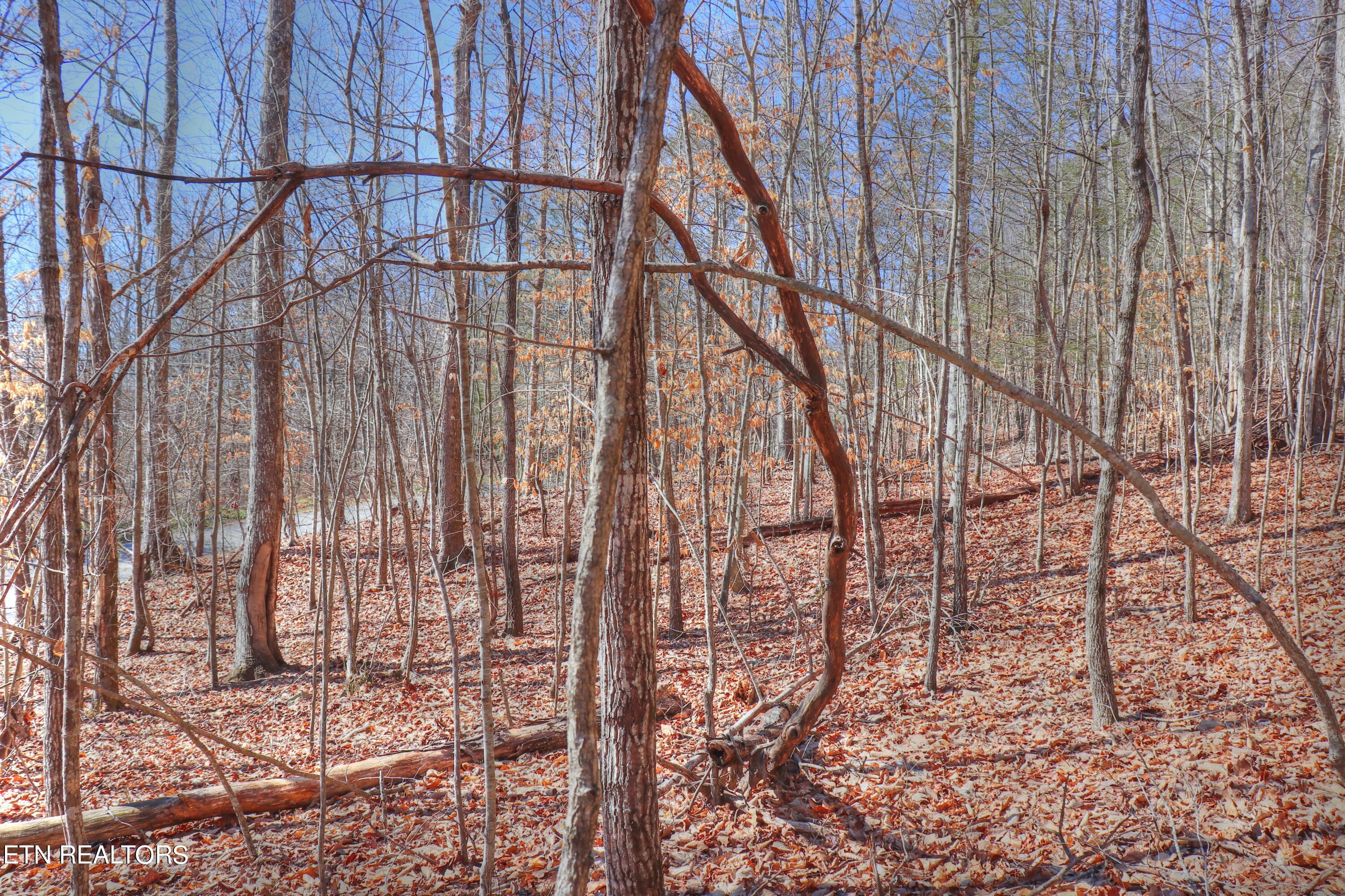 Lot 139 Whistle Valley Road New Tazewell TN 37825