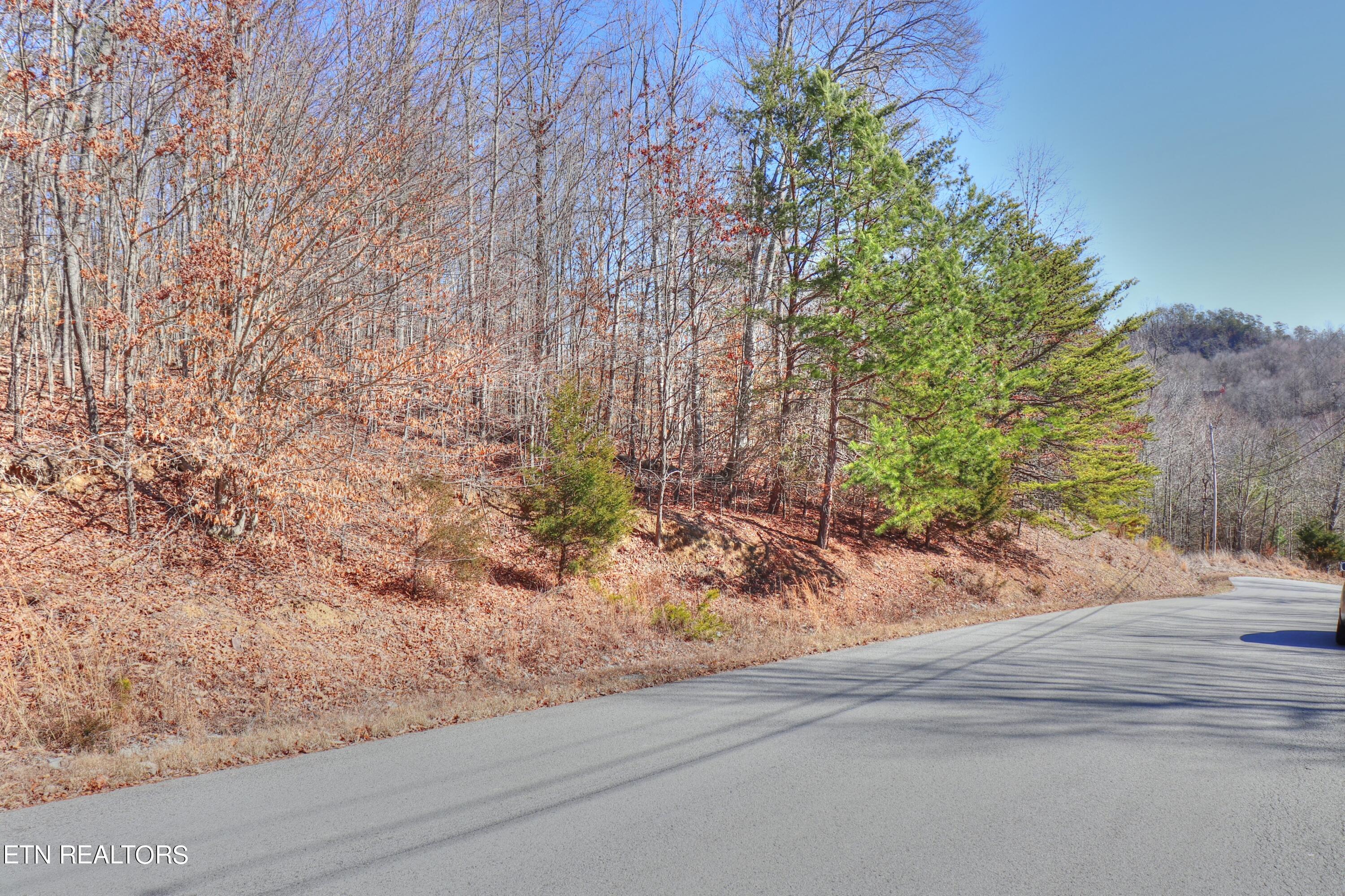 Lot 139 Whistle Valley Road New Tazewell TN 37825
