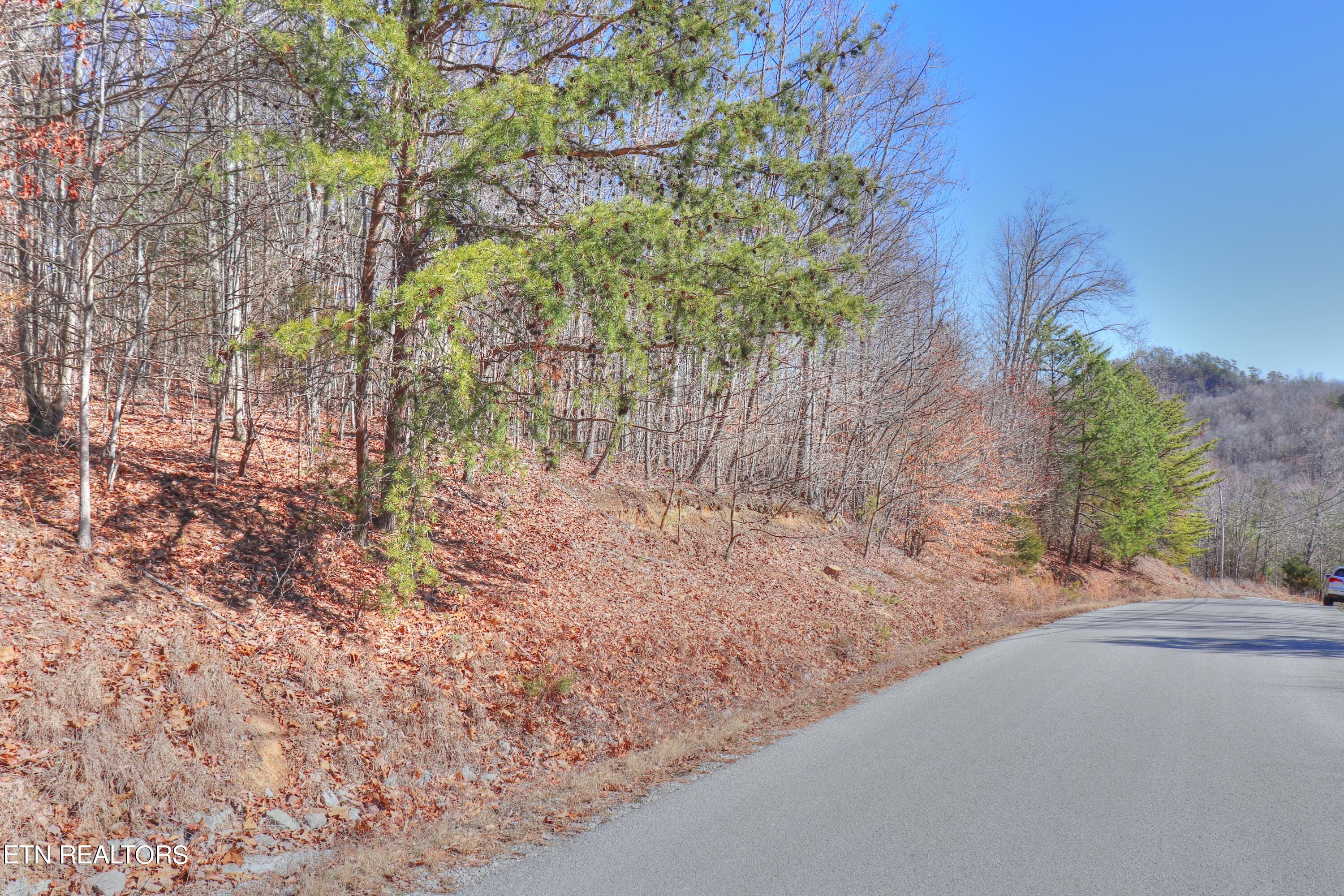 Lot 139 Whistle Valley Road New Tazewell TN 37825