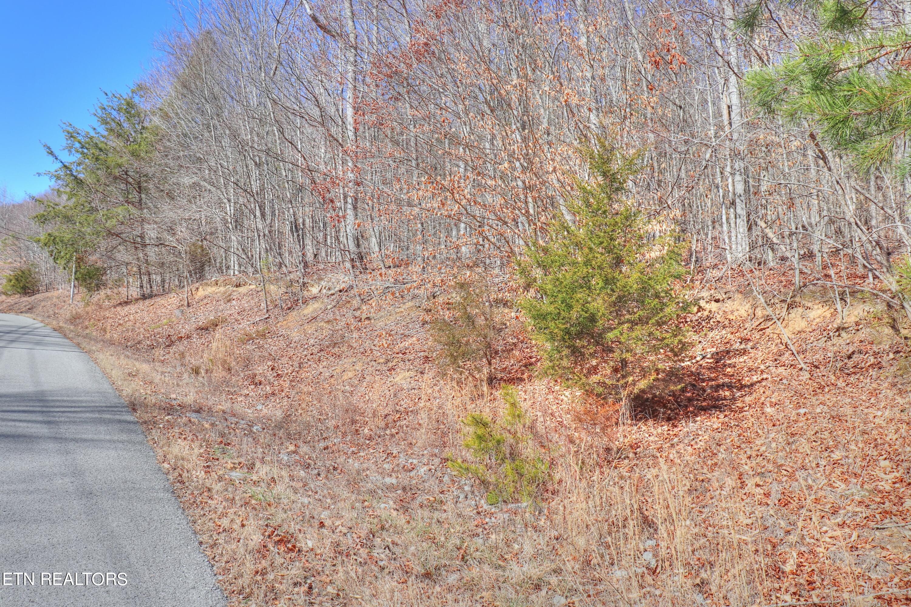Lot 139 Whistle Valley Road New Tazewell TN 37825