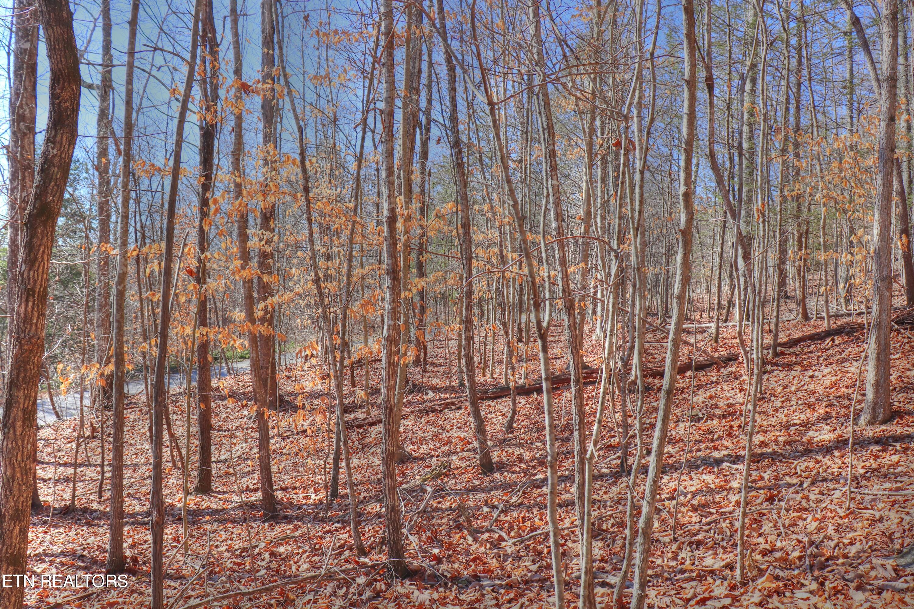 Lot 139 Whistle Valley Road New Tazewell TN 37825