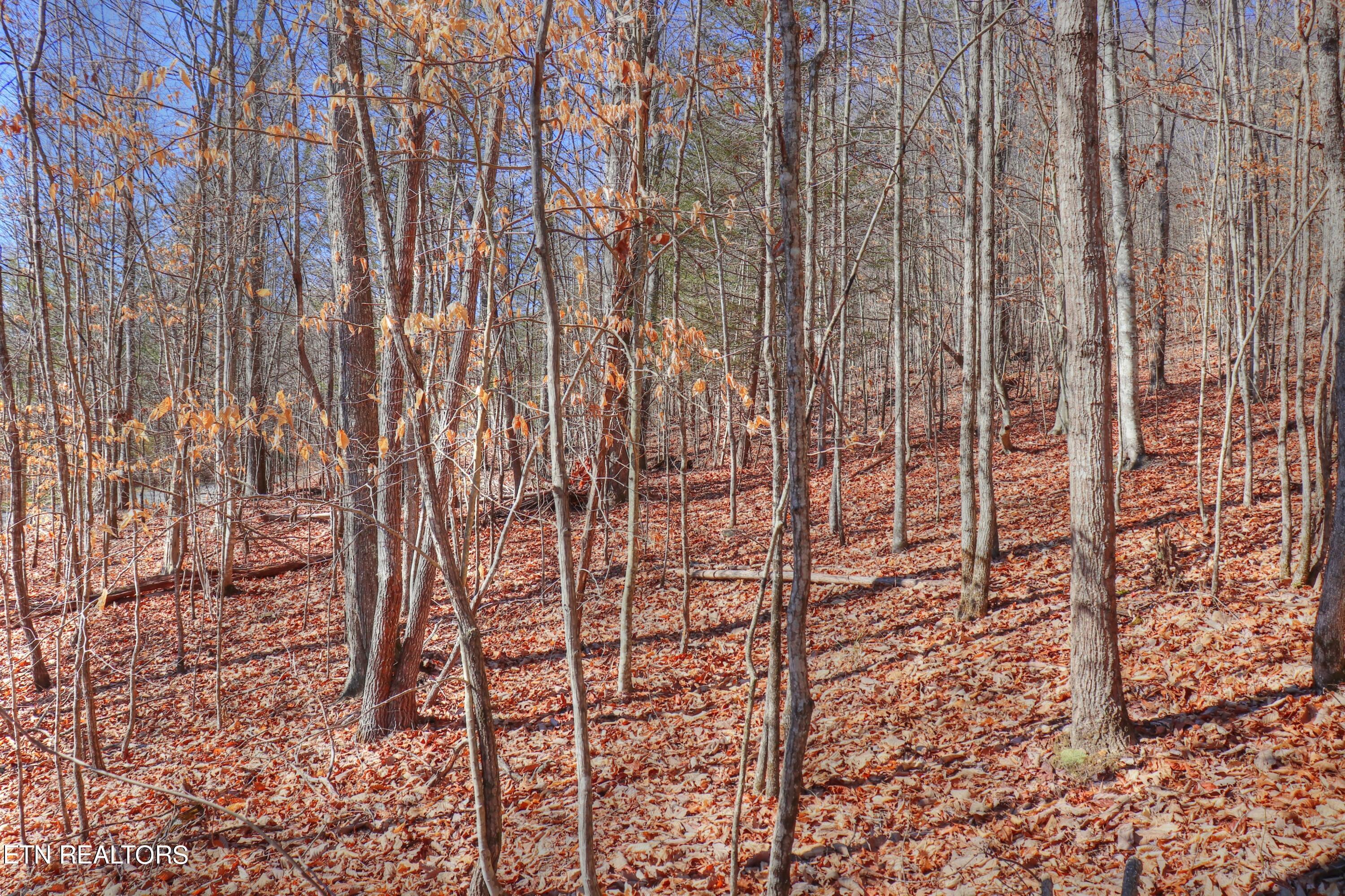 Lot 139 Whistle Valley Road New Tazewell TN 37825