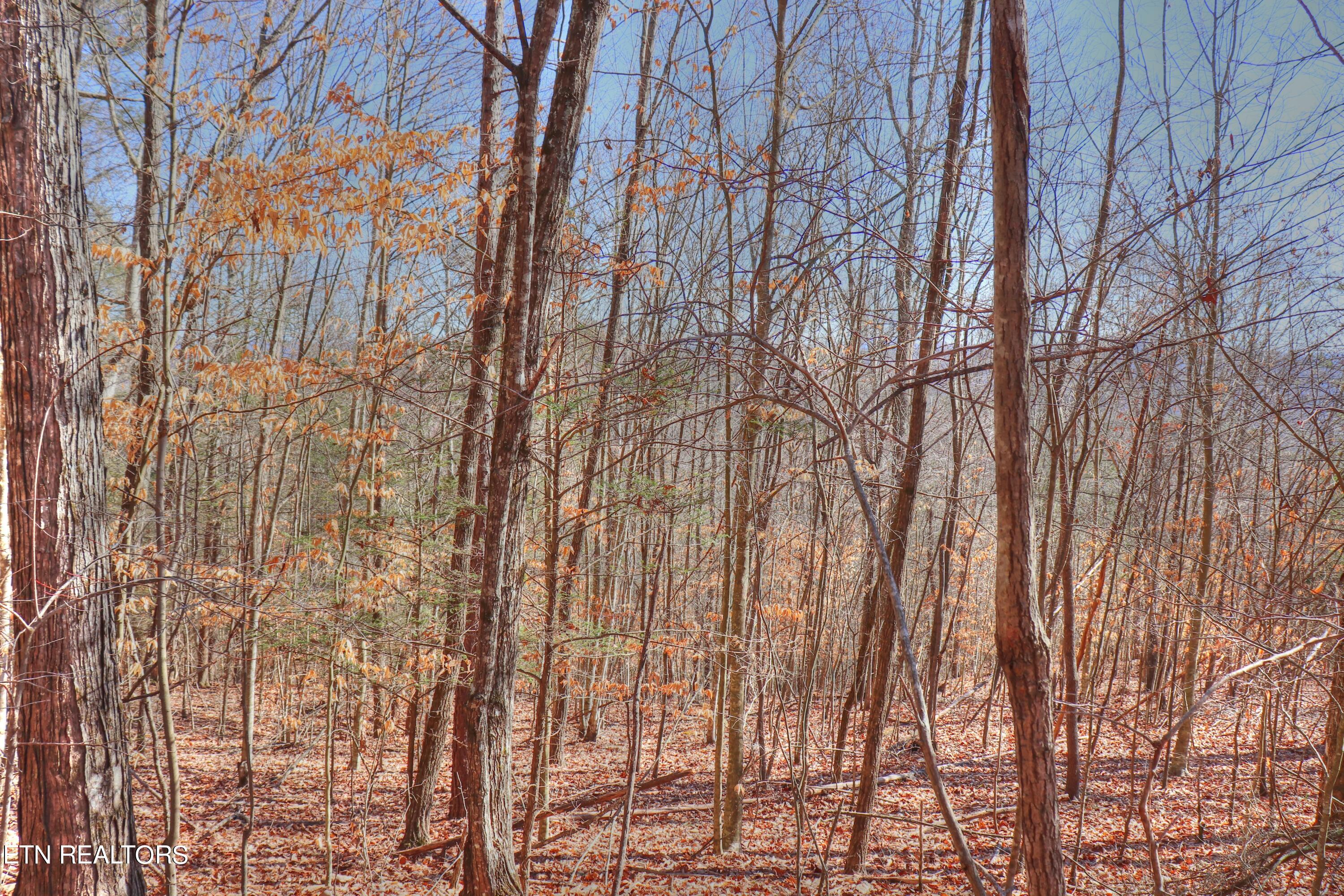 Lot 139 Whistle Valley Road New Tazewell TN 37825