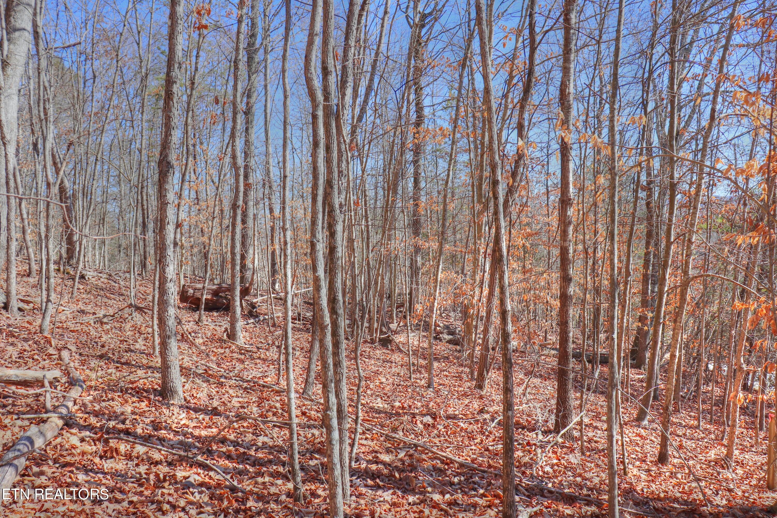 Lot 139 Whistle Valley Road New Tazewell TN 37825