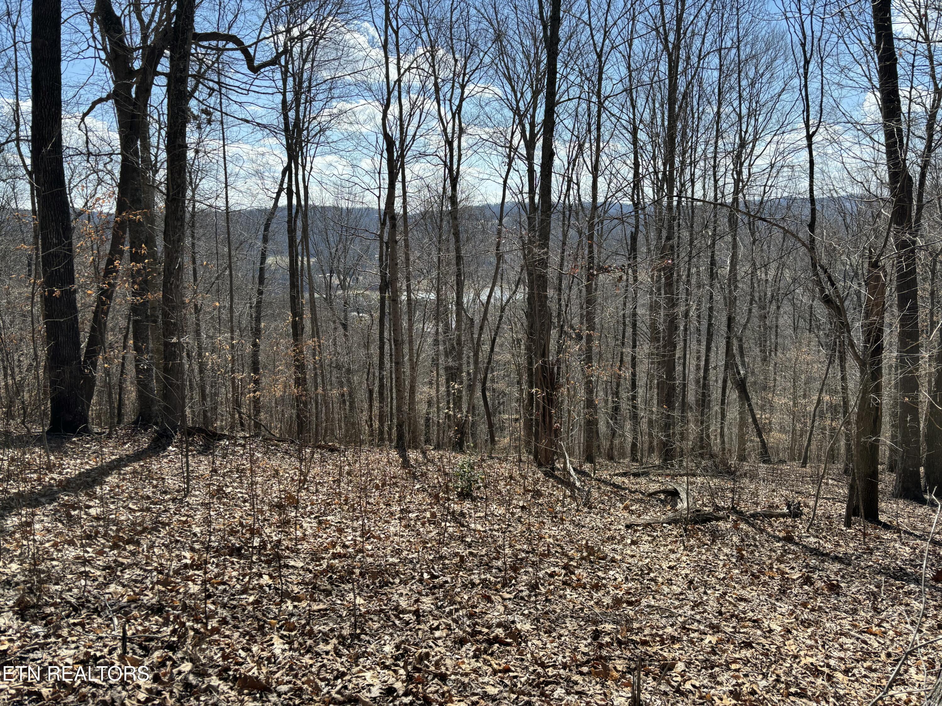 Highland Trace Road Sharps Chapel TN 37866
