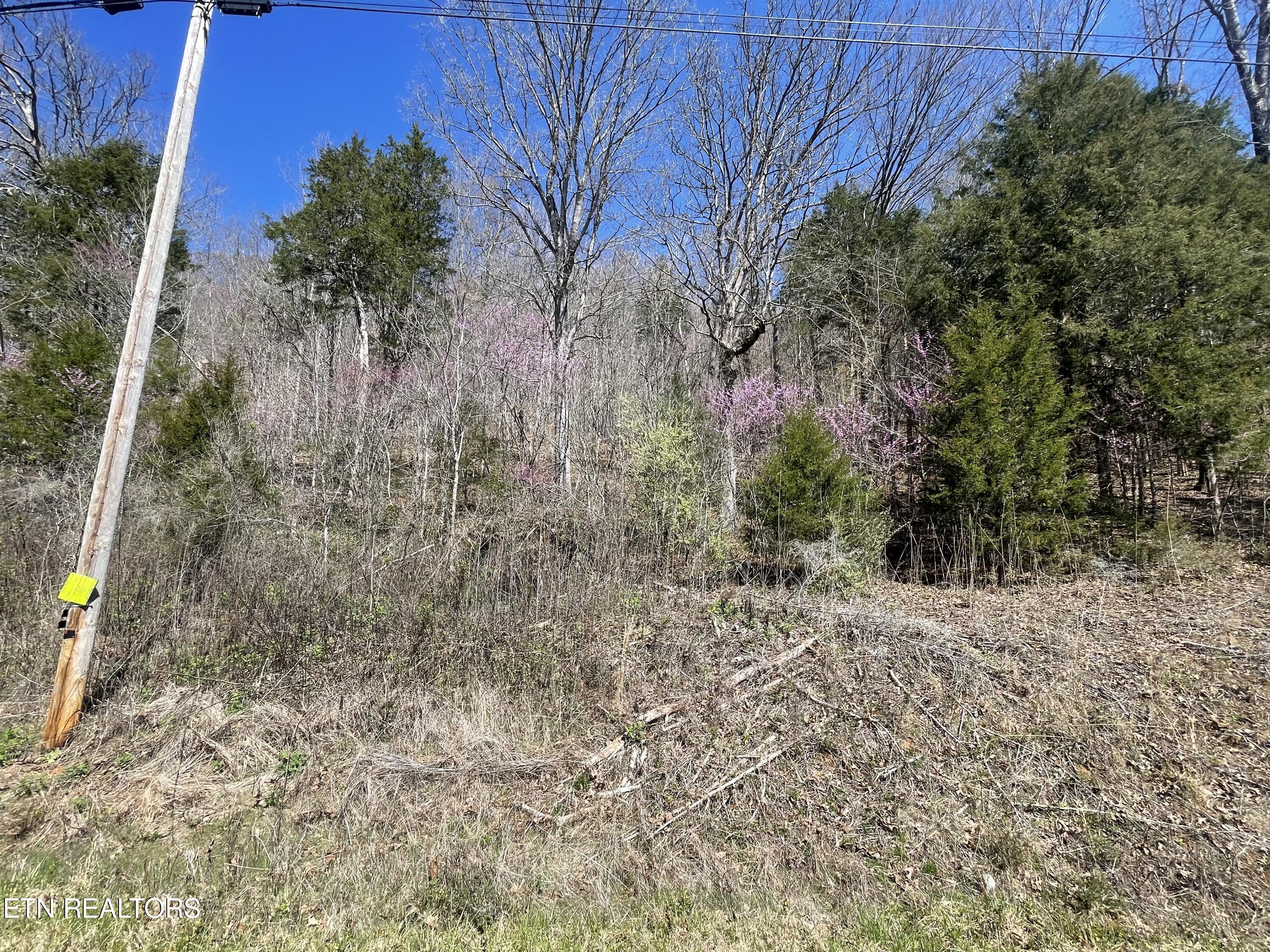 Highland Trace Road Sharps Chapel TN 37866