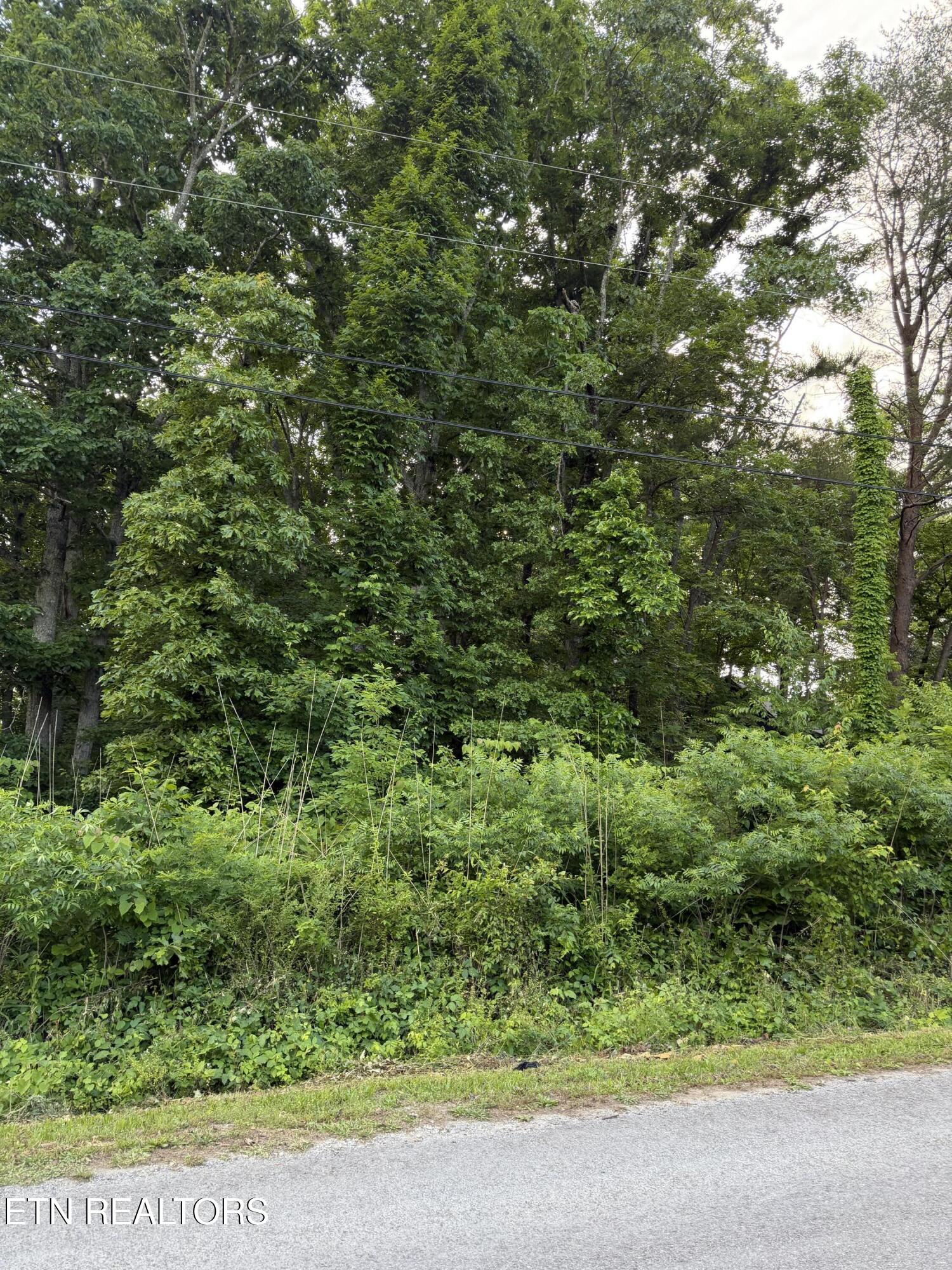 Lot 72 Indian Hills Drive Dayton TN 37321