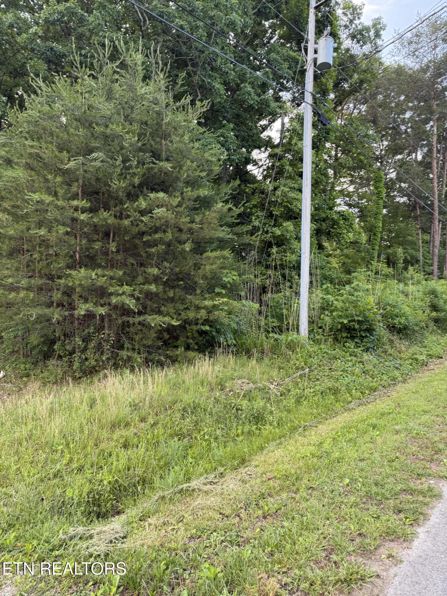 Lot 72 Indian Hills Drive Dayton TN 37321