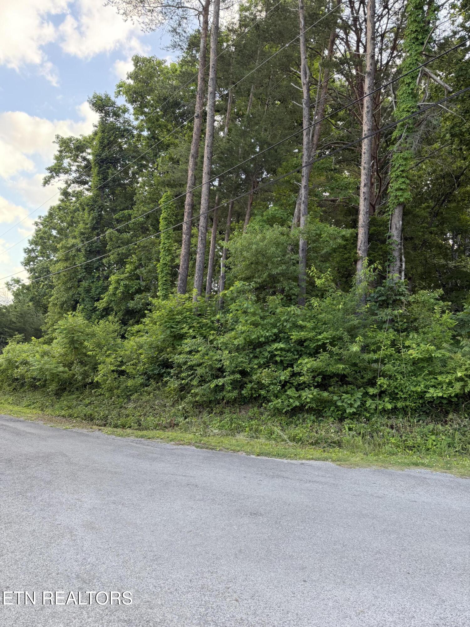 Lot 72 Indian Hills Drive Dayton TN 37321