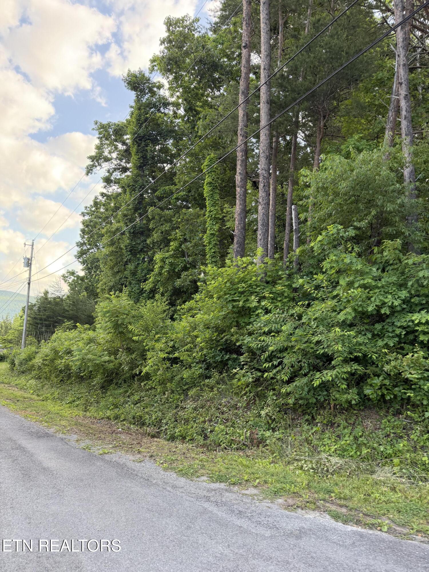 Lot 72 Indian Hills Drive Dayton TN 37321