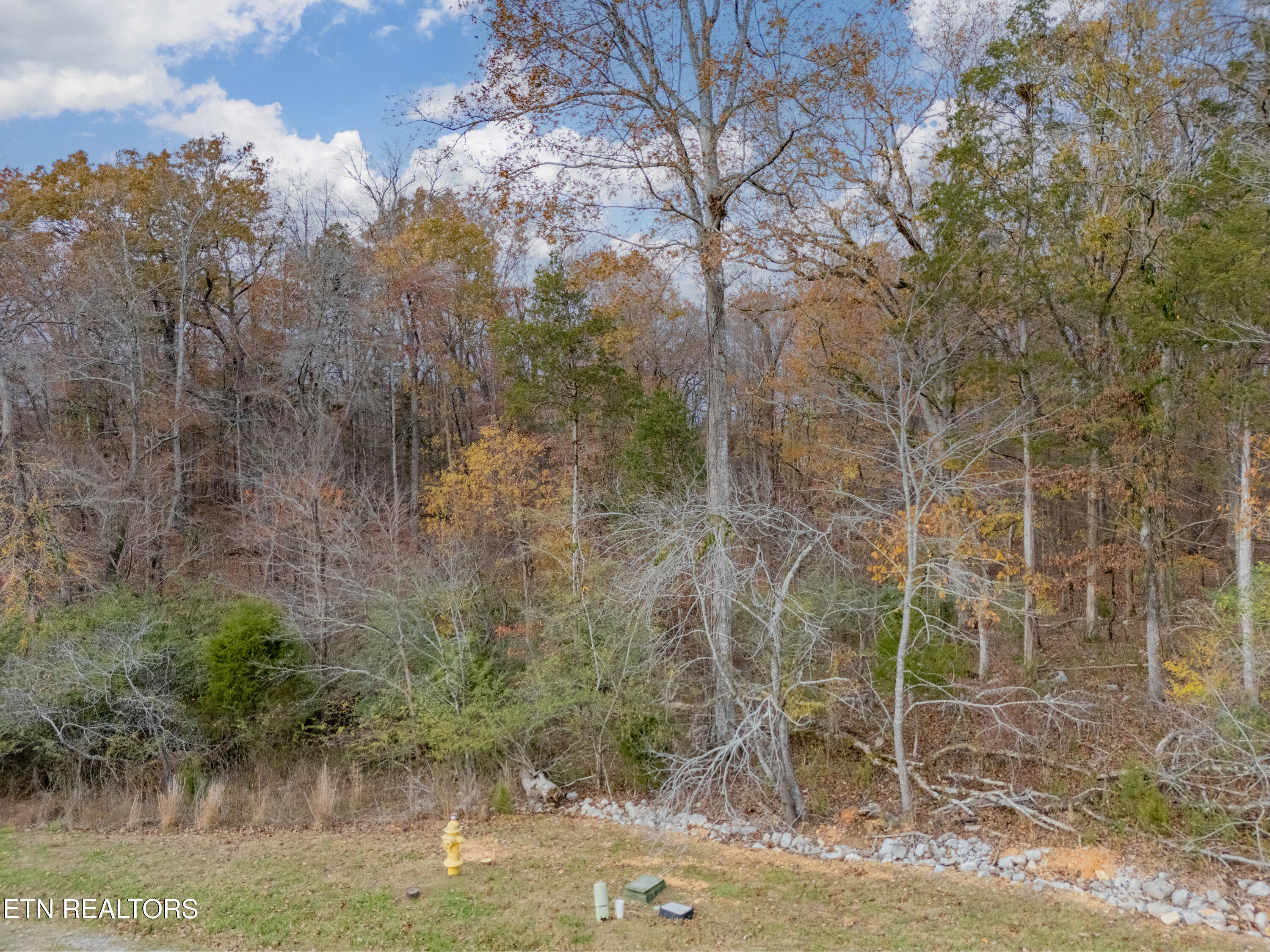 212 E Shore Drive Rockwood TN 37854
