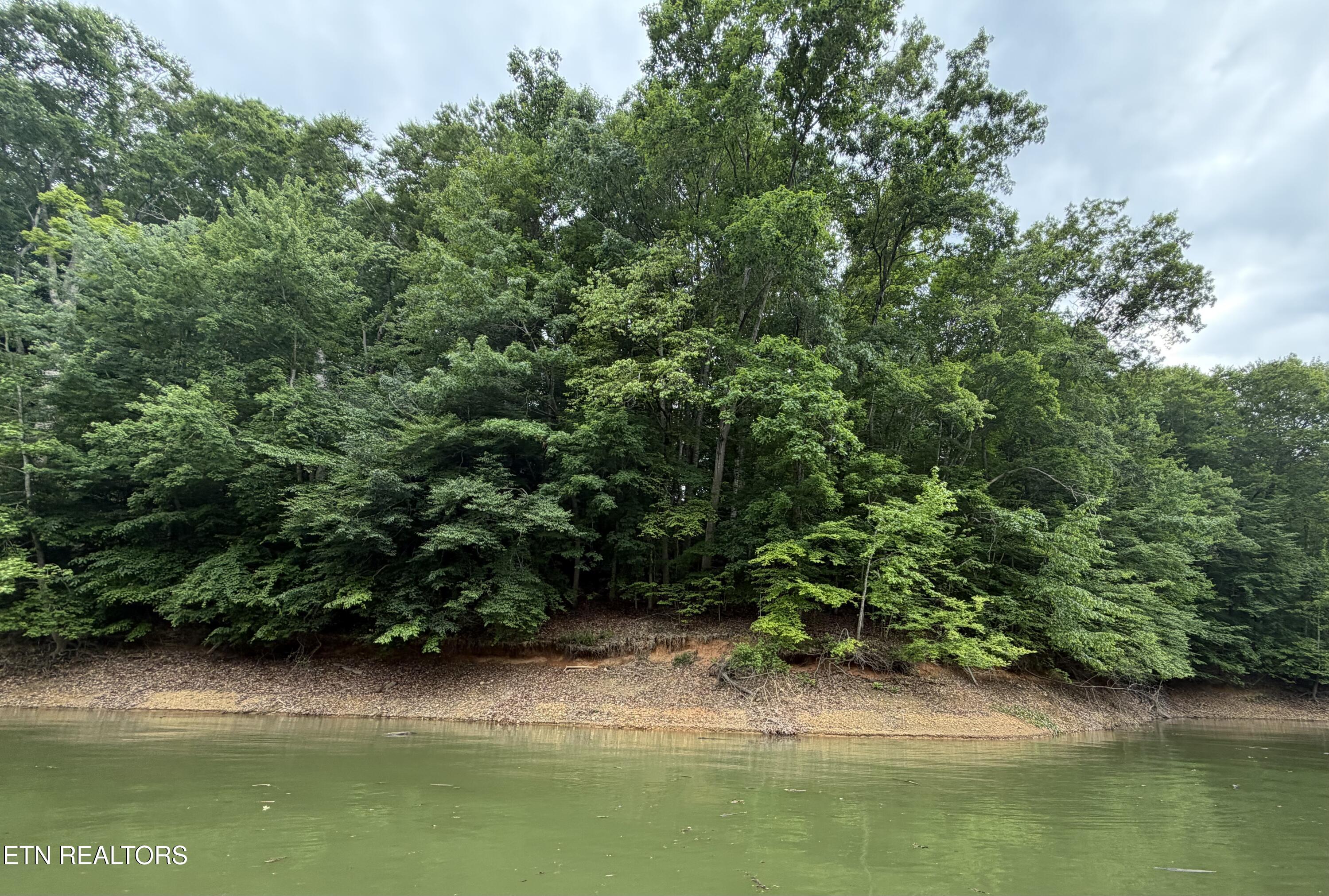 Old Chisholm Trail Dandridge TN 37725