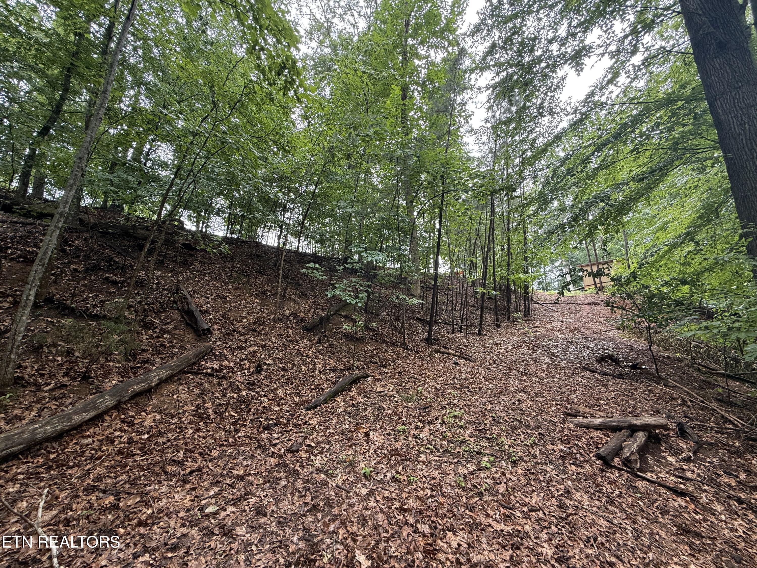 Old Chisholm Trail Dandridge TN 37725