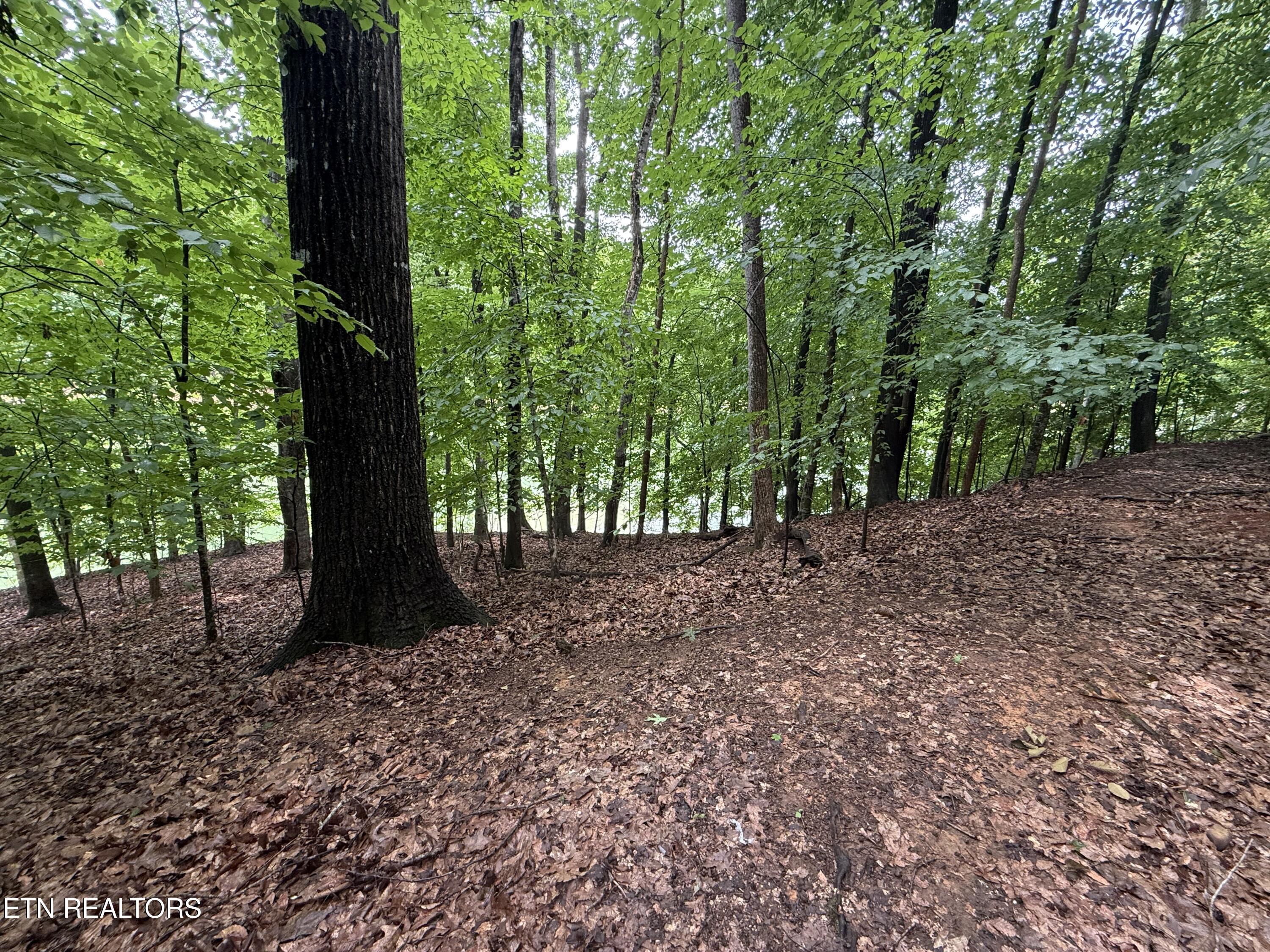 Old Chisholm Trail Dandridge TN 37725