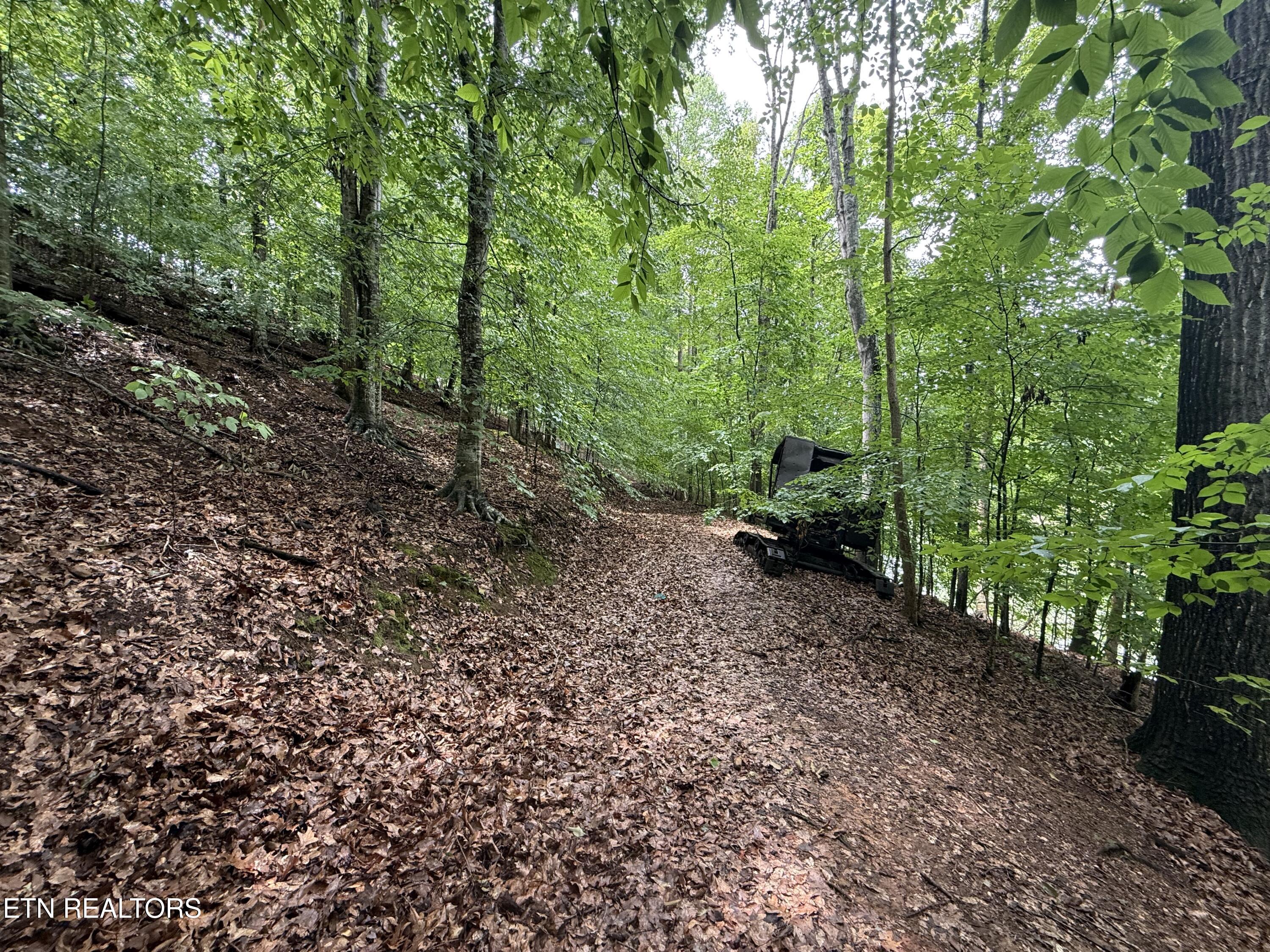 Old Chisholm Trail Dandridge TN 37725