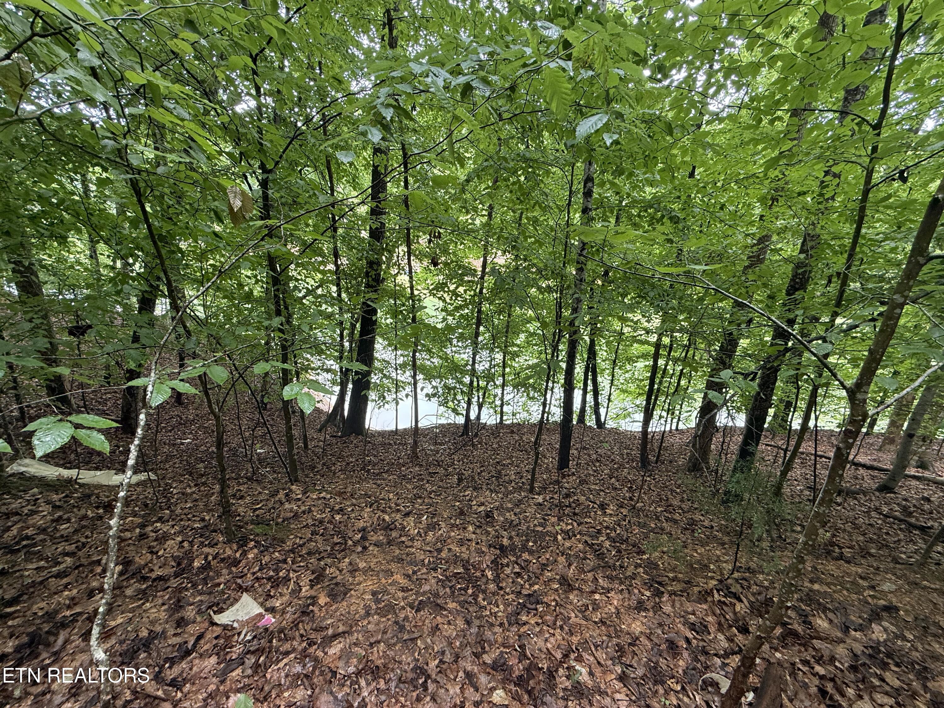 Old Chisholm Trail Dandridge TN 37725