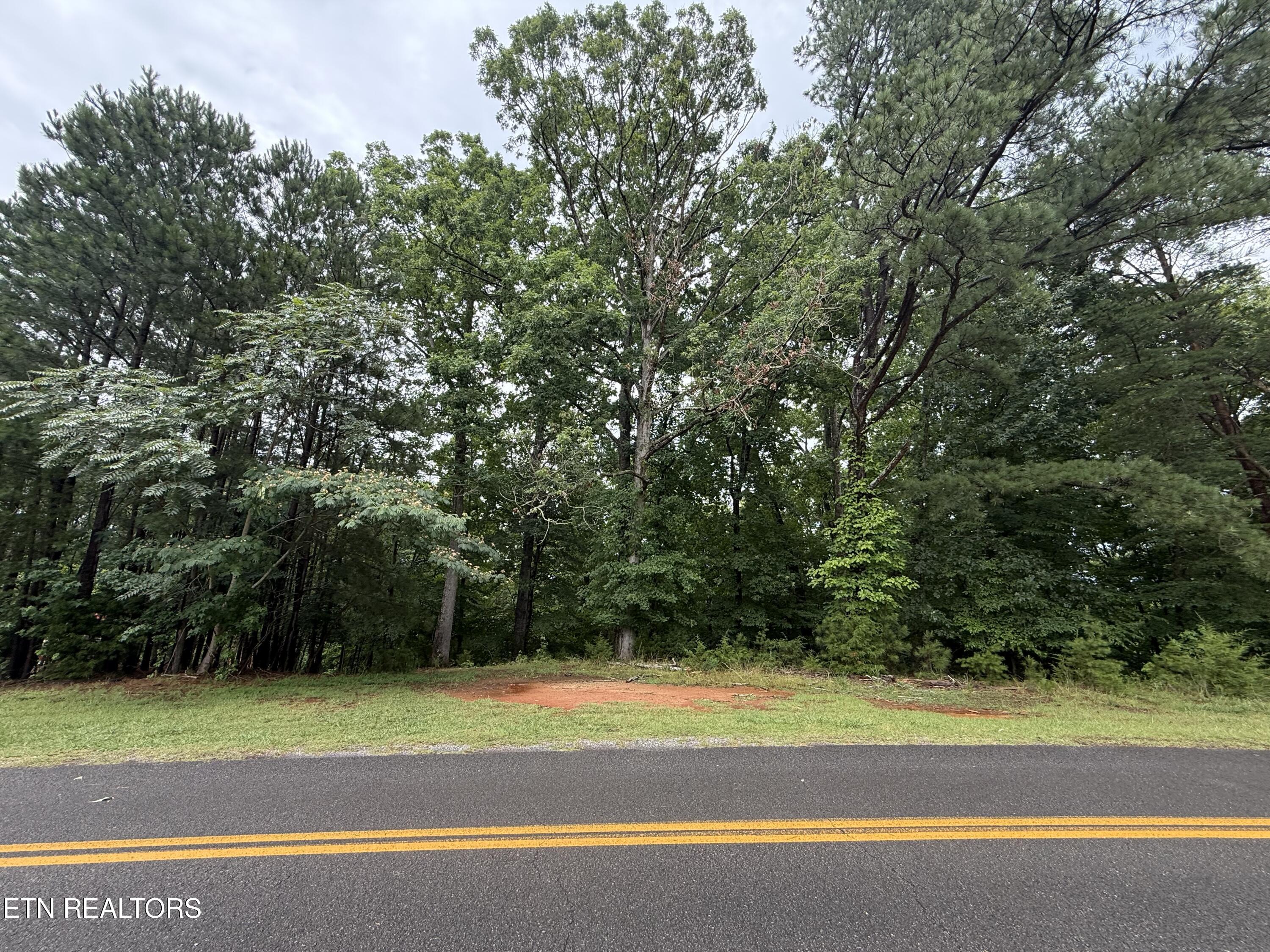 Old Chisholm Trail Dandridge TN 37725