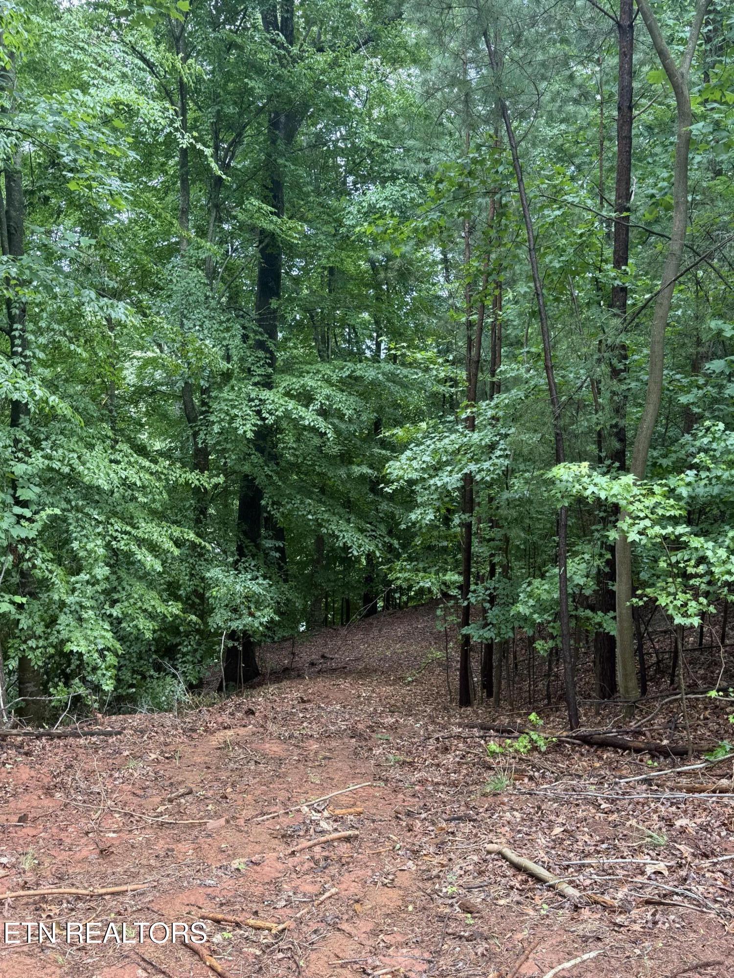 Old Chisholm Trail Dandridge TN 37725