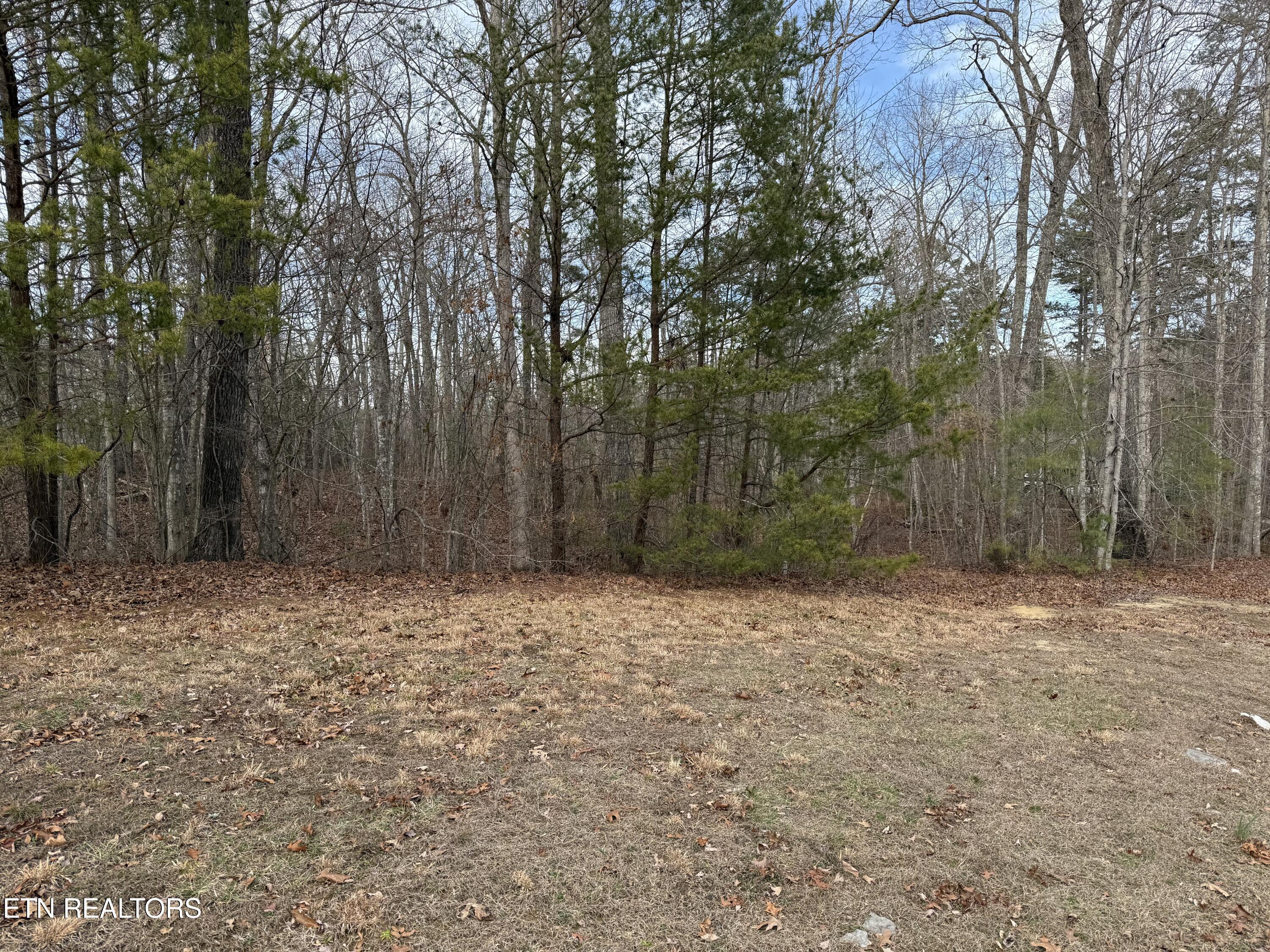 Cliffmont Road Jamestown TN 38556