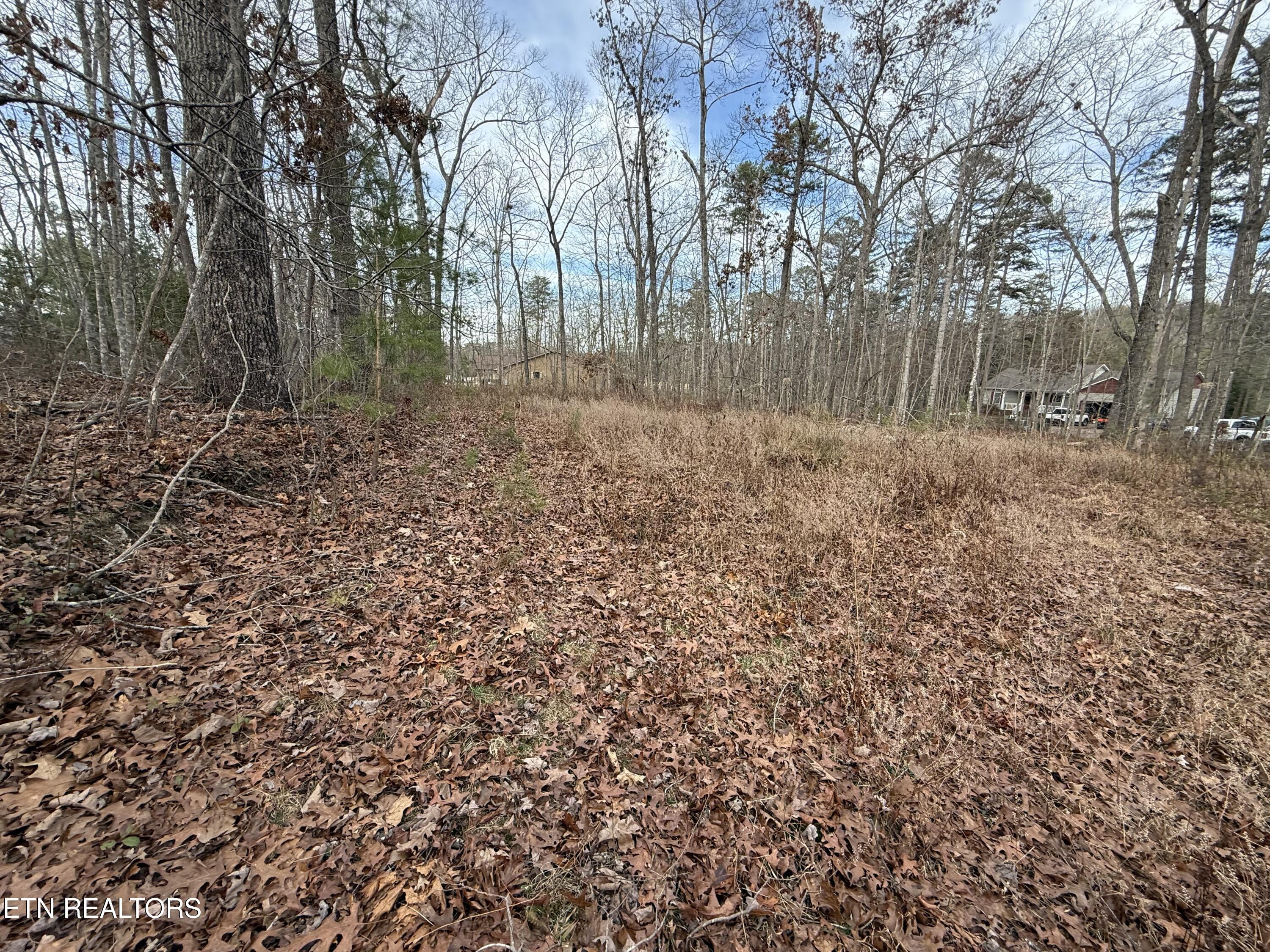 Cliffmont Road Jamestown TN 38556