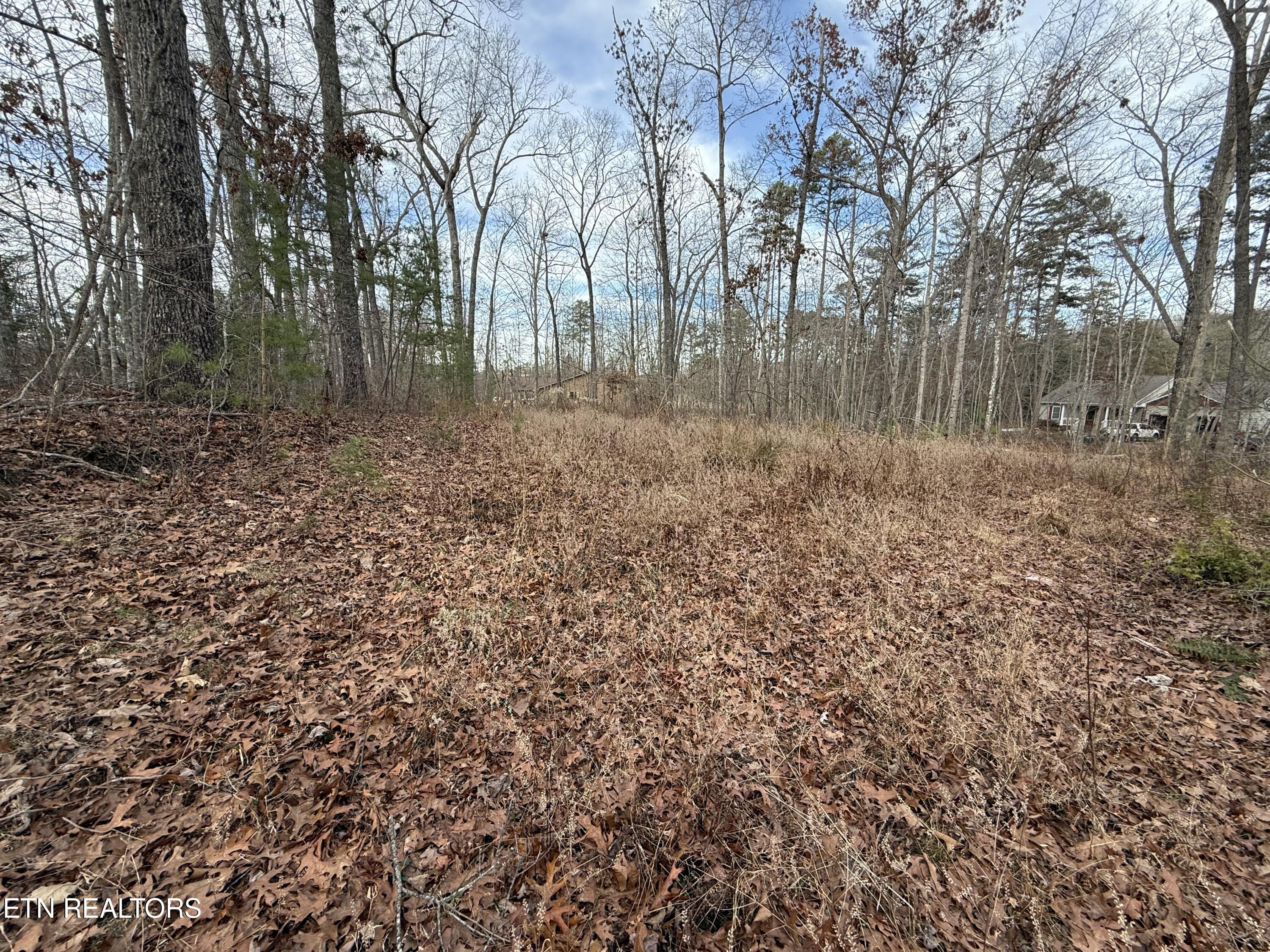 Cliffmont Road Jamestown TN 38556