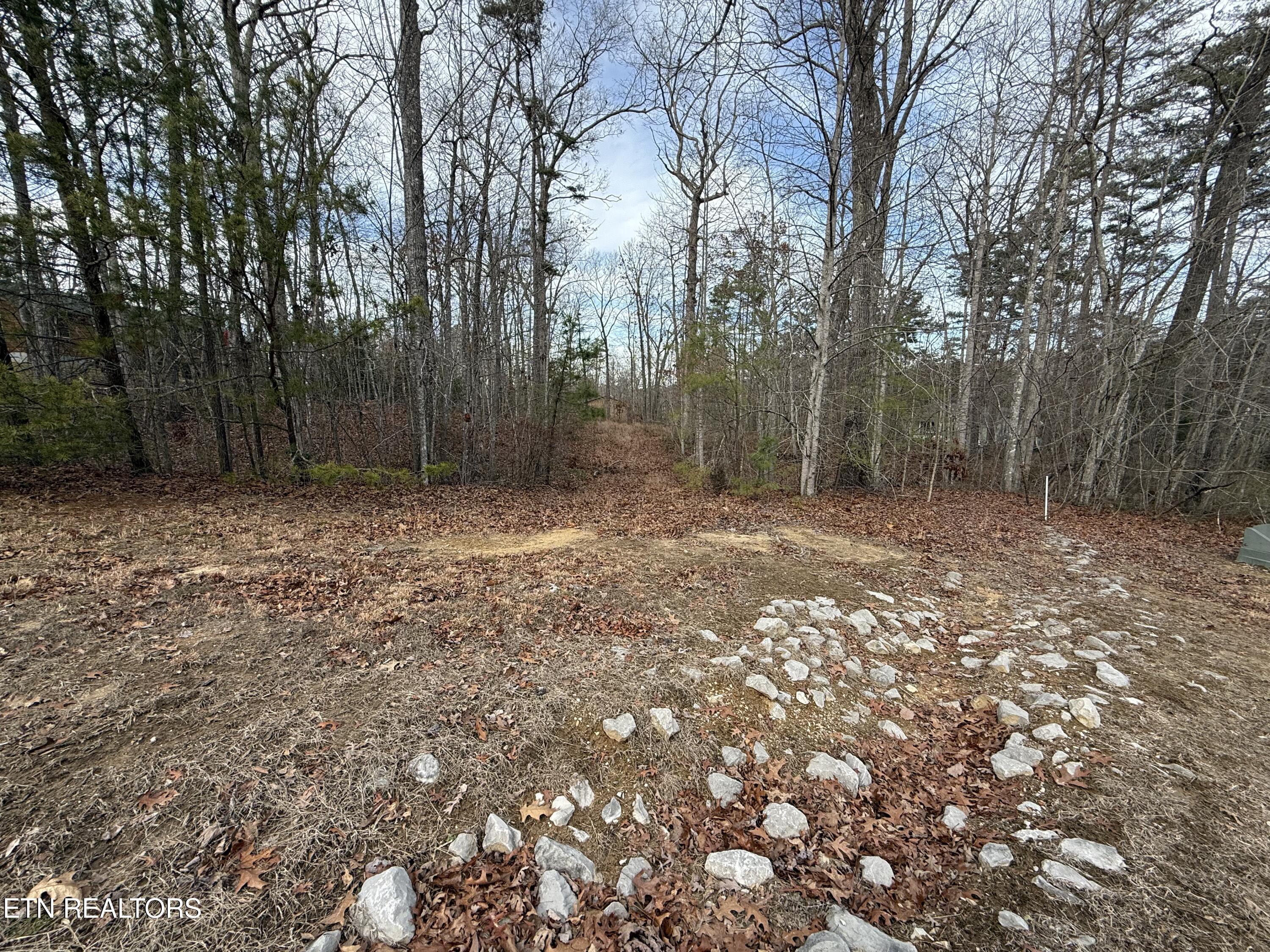 Cliffmont Road Jamestown TN 38556