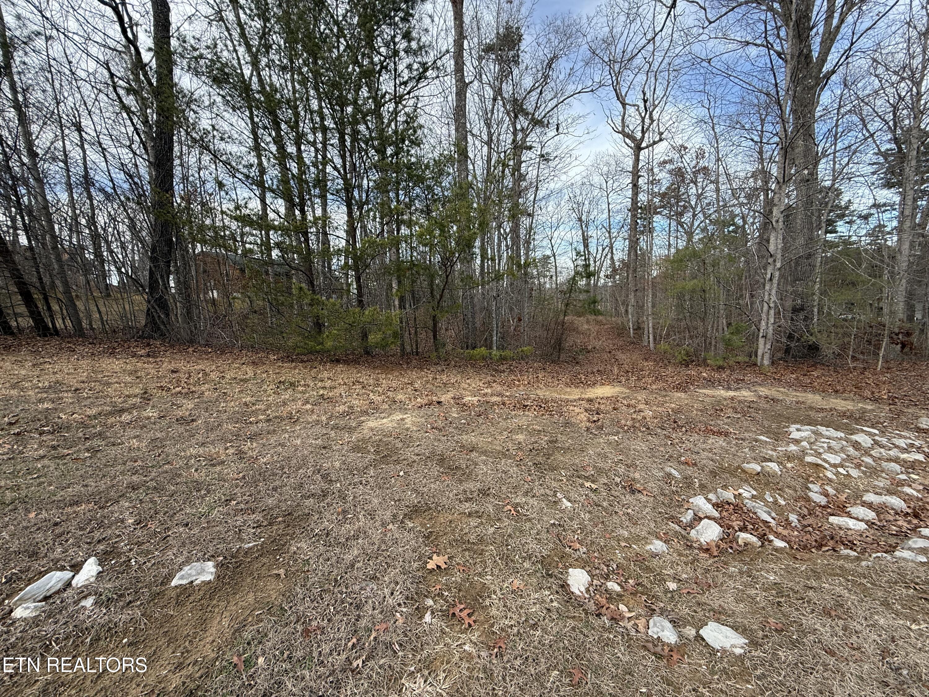 Cliffmont Road Jamestown TN 38556