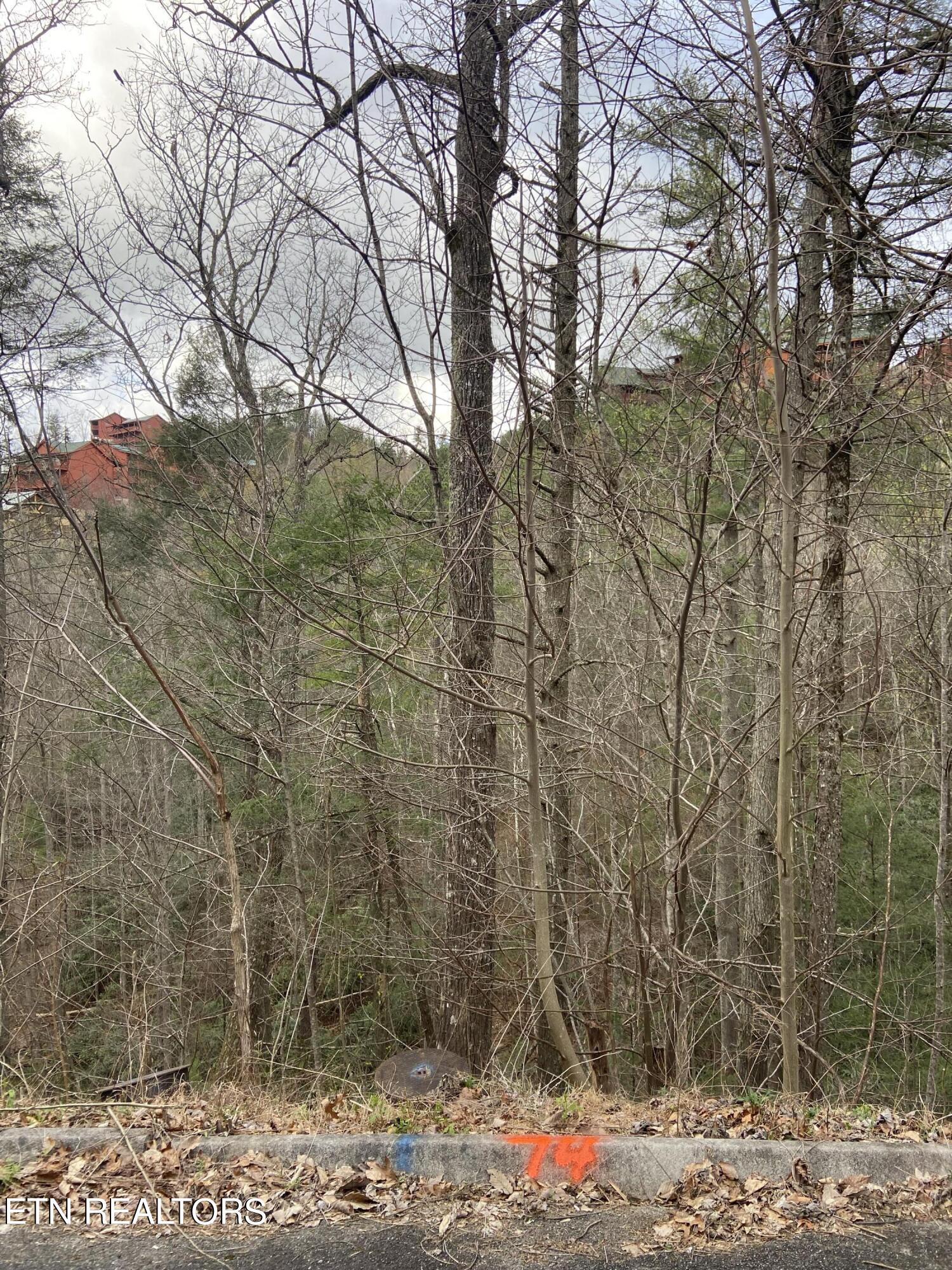 Lot 74 Smoky Ridge Way Sevierville TN 37862