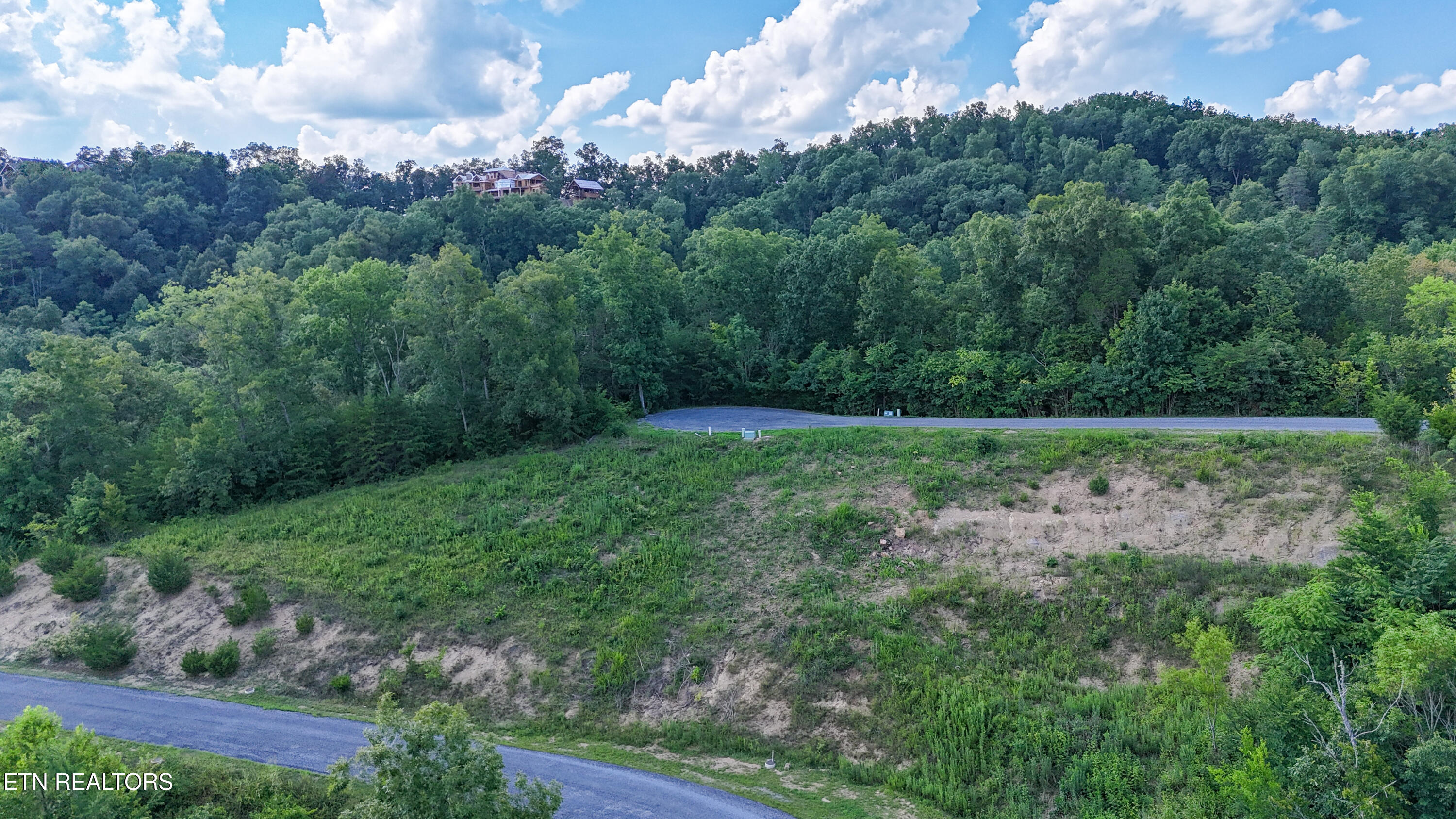 Lot 9 Stone Cove Way Dandridge TN 37725