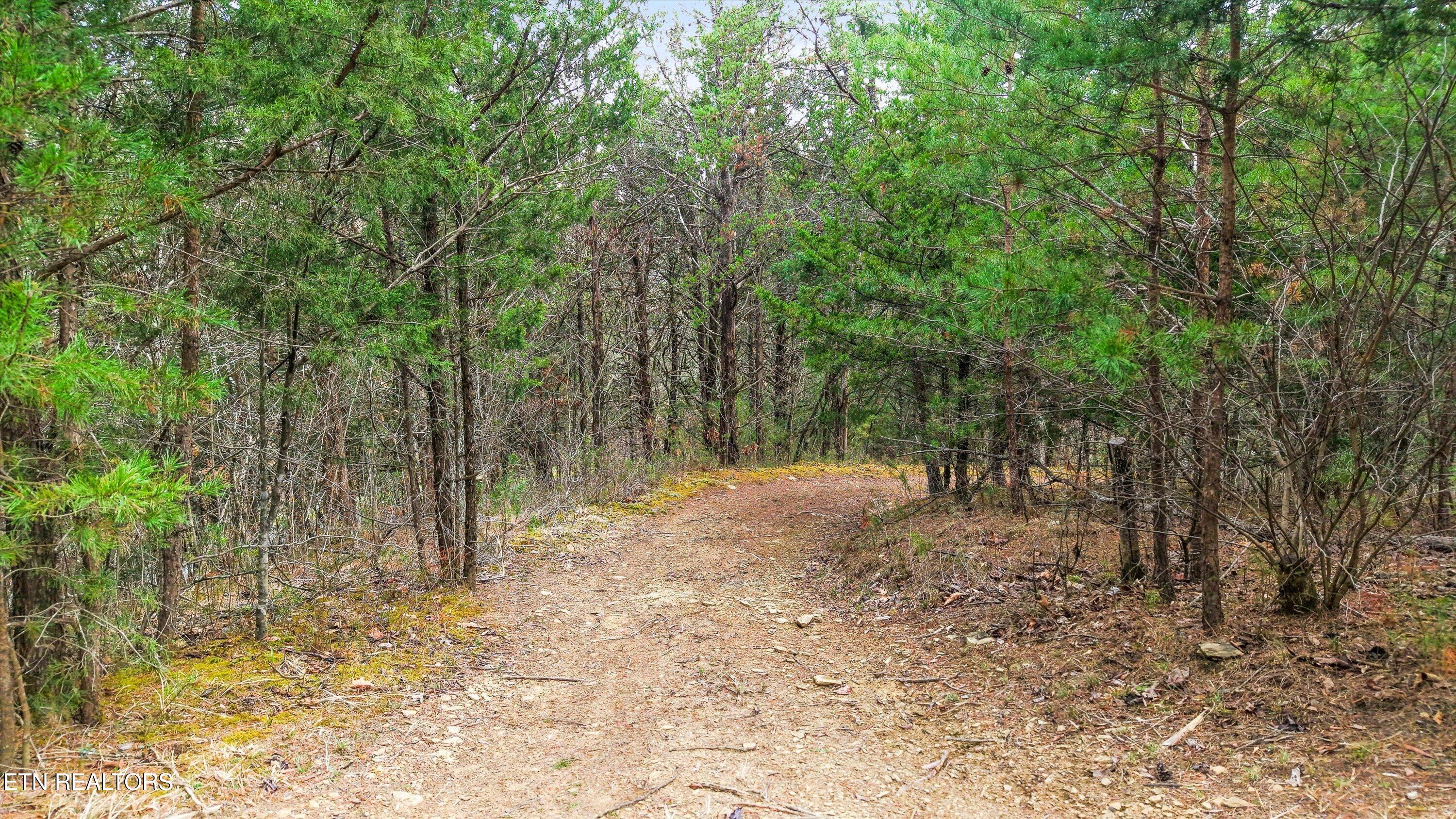 Windy Cove Way Sevierville TN 37876