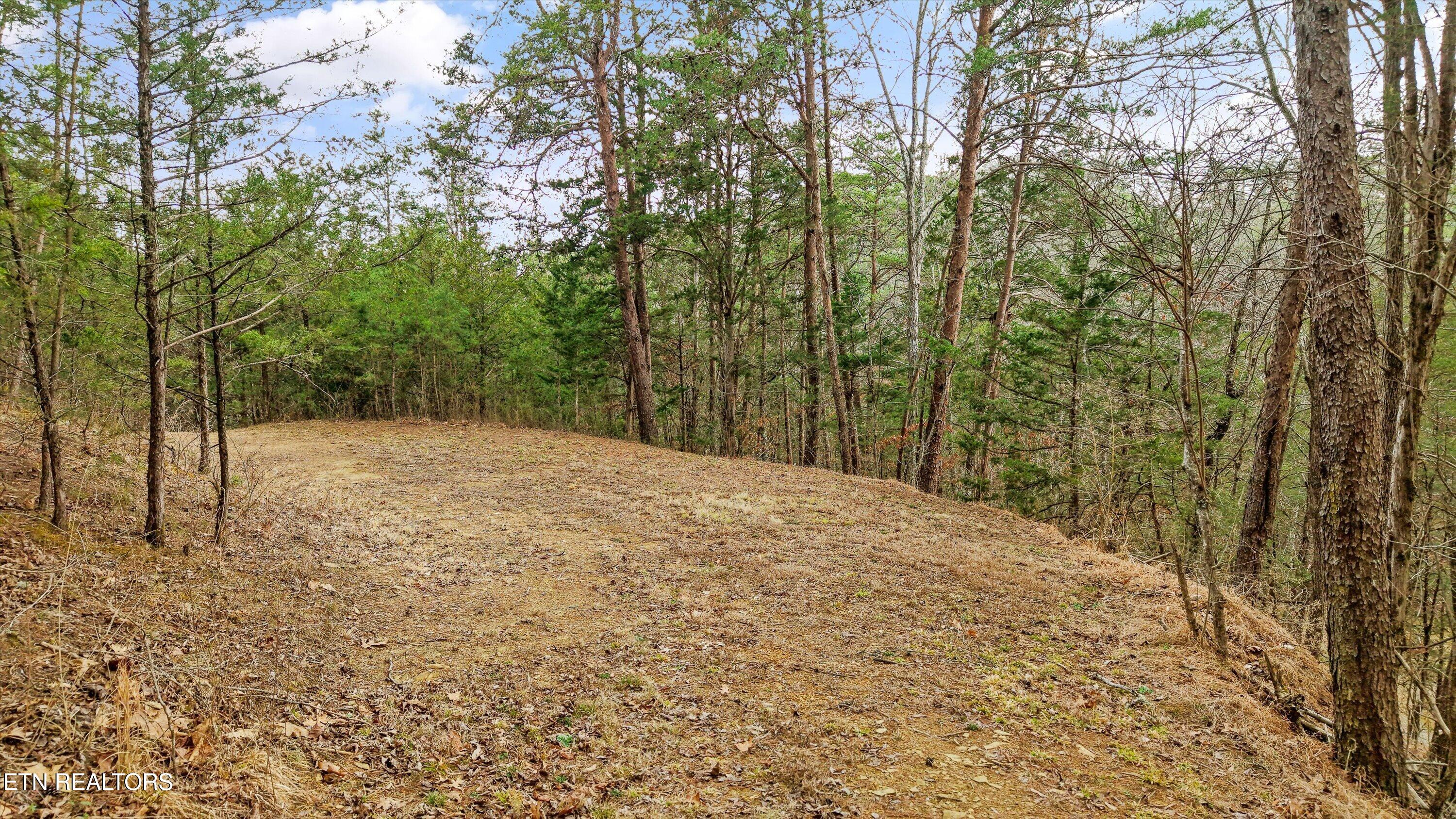 Windy Cove Way Sevierville TN 37876