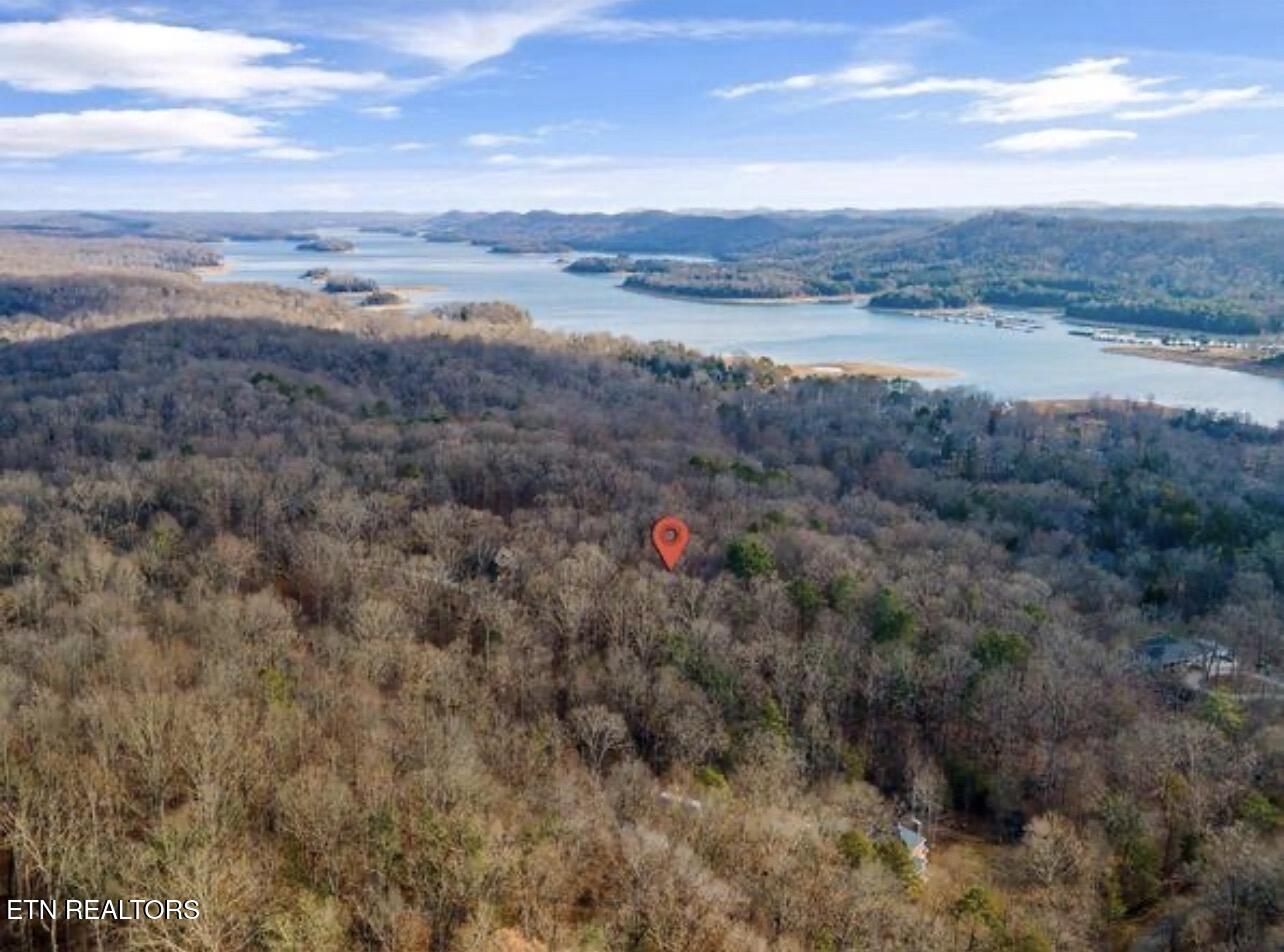 River Road Andersonville TN 37705