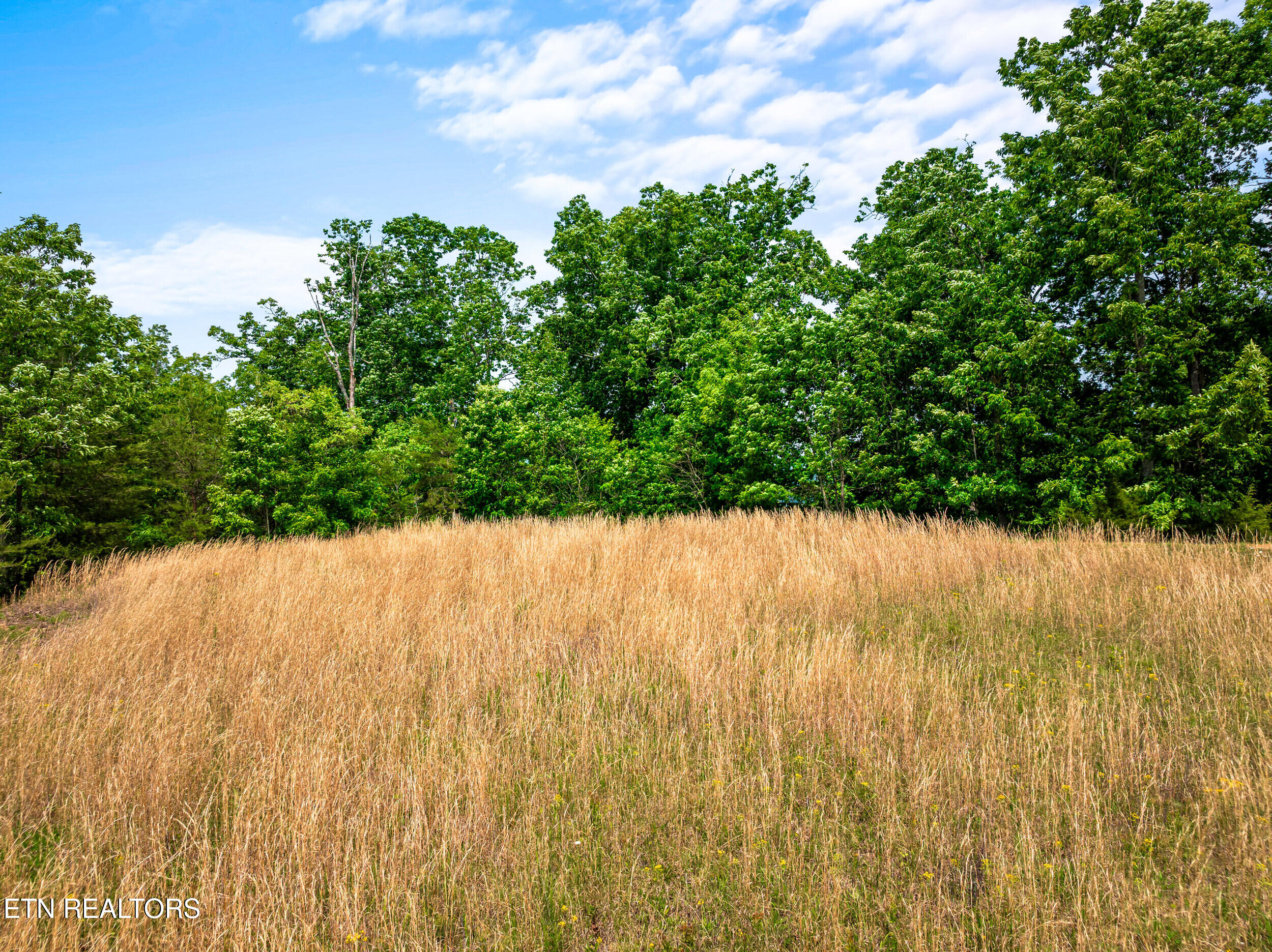 147 Highland Reserve Way Kingston TN 37763