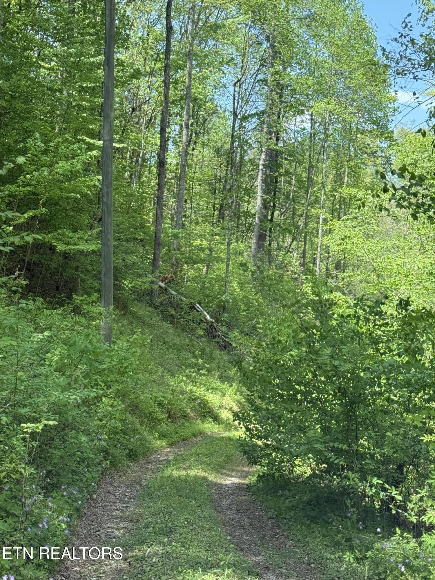 2110 Duck Pond Lane Sevierville TN 37876