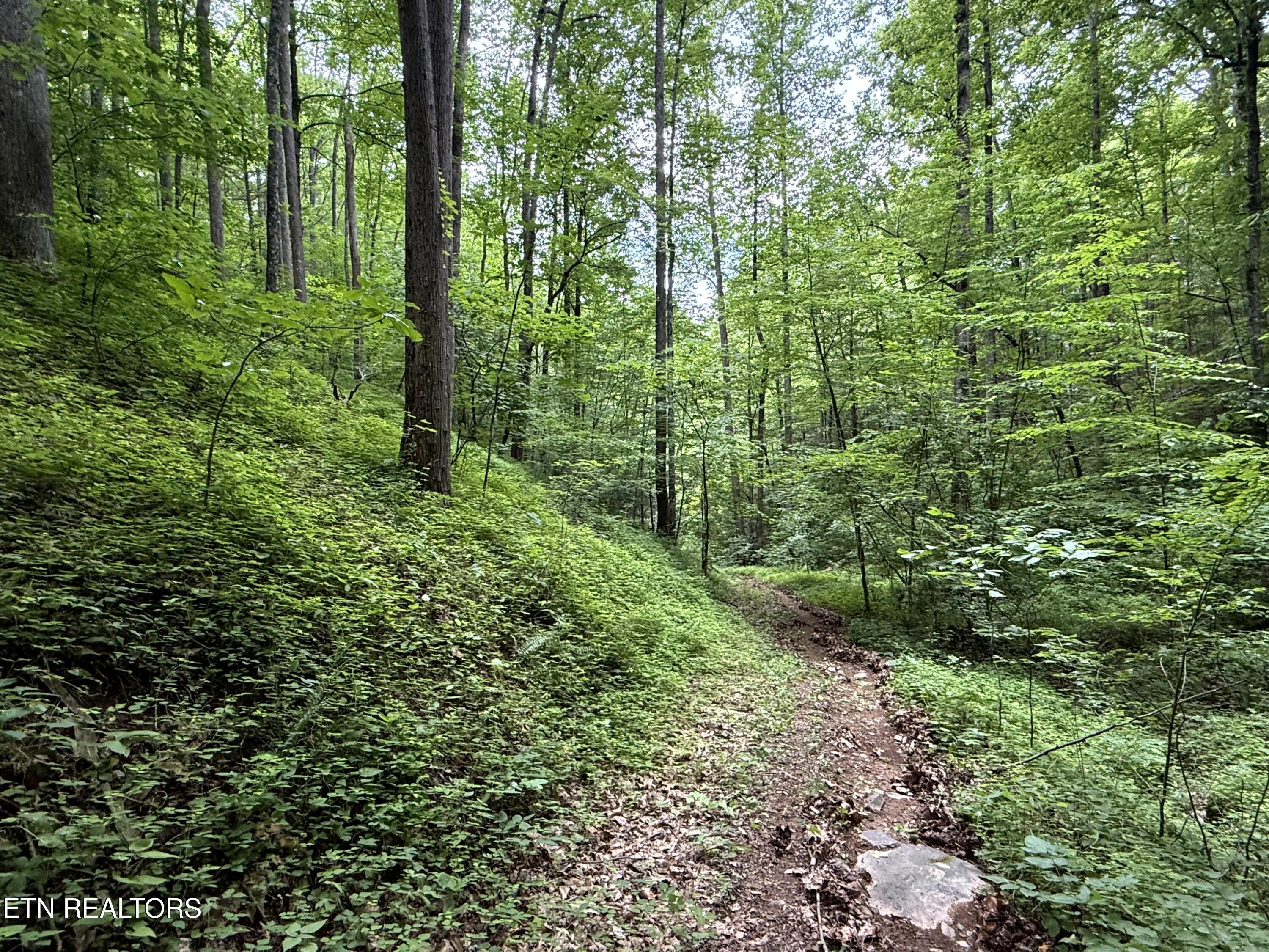 2110 Duck Pond Lane Sevierville TN 37876