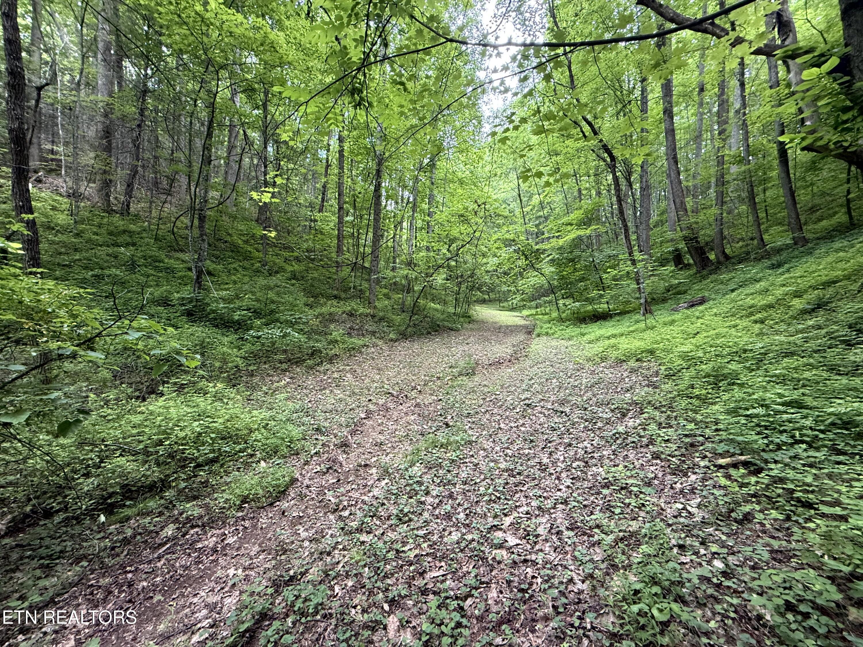 2110 Duck Pond Lane Sevierville TN 37876