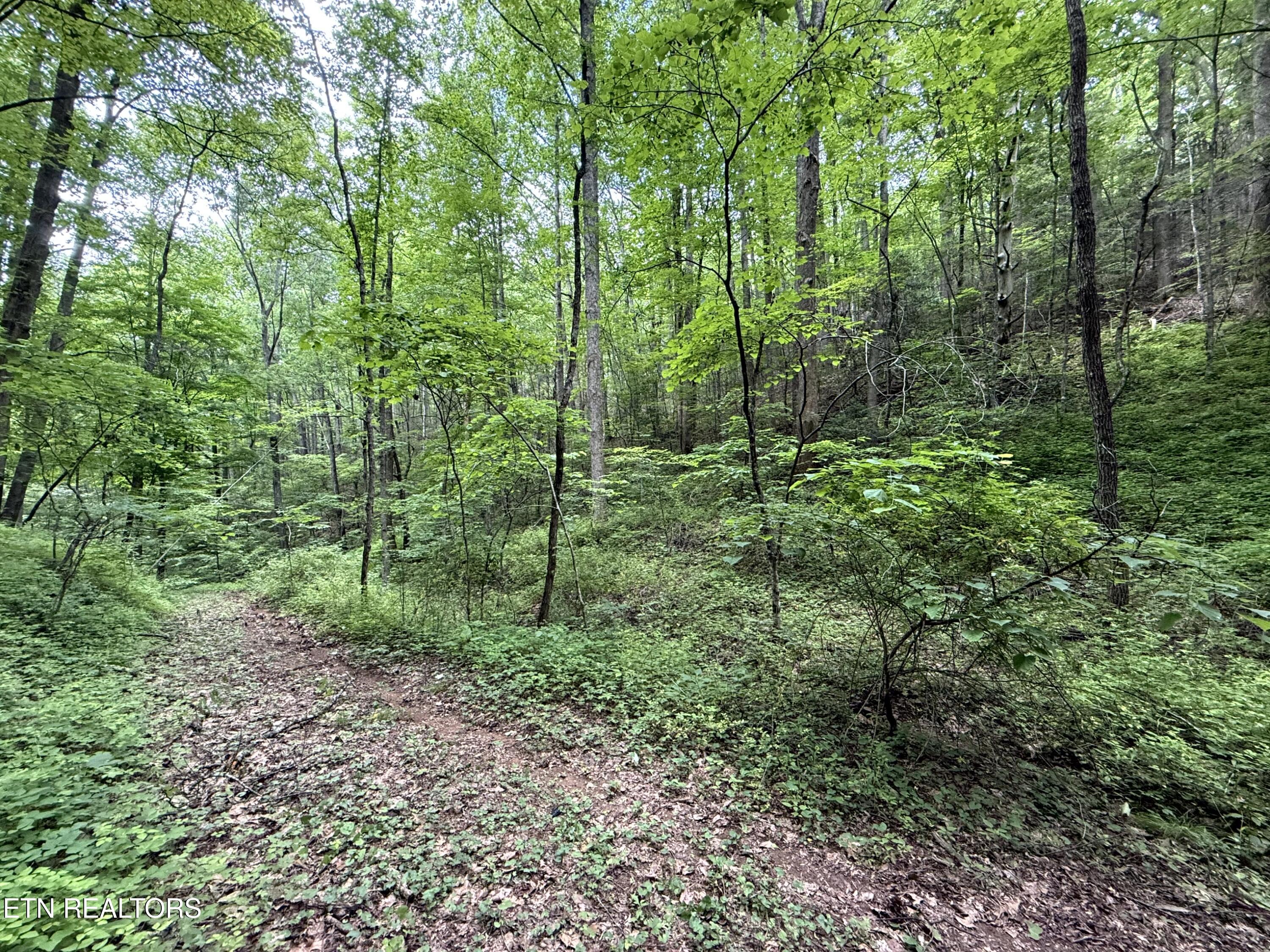 2110 Duck Pond Lane Sevierville TN 37876