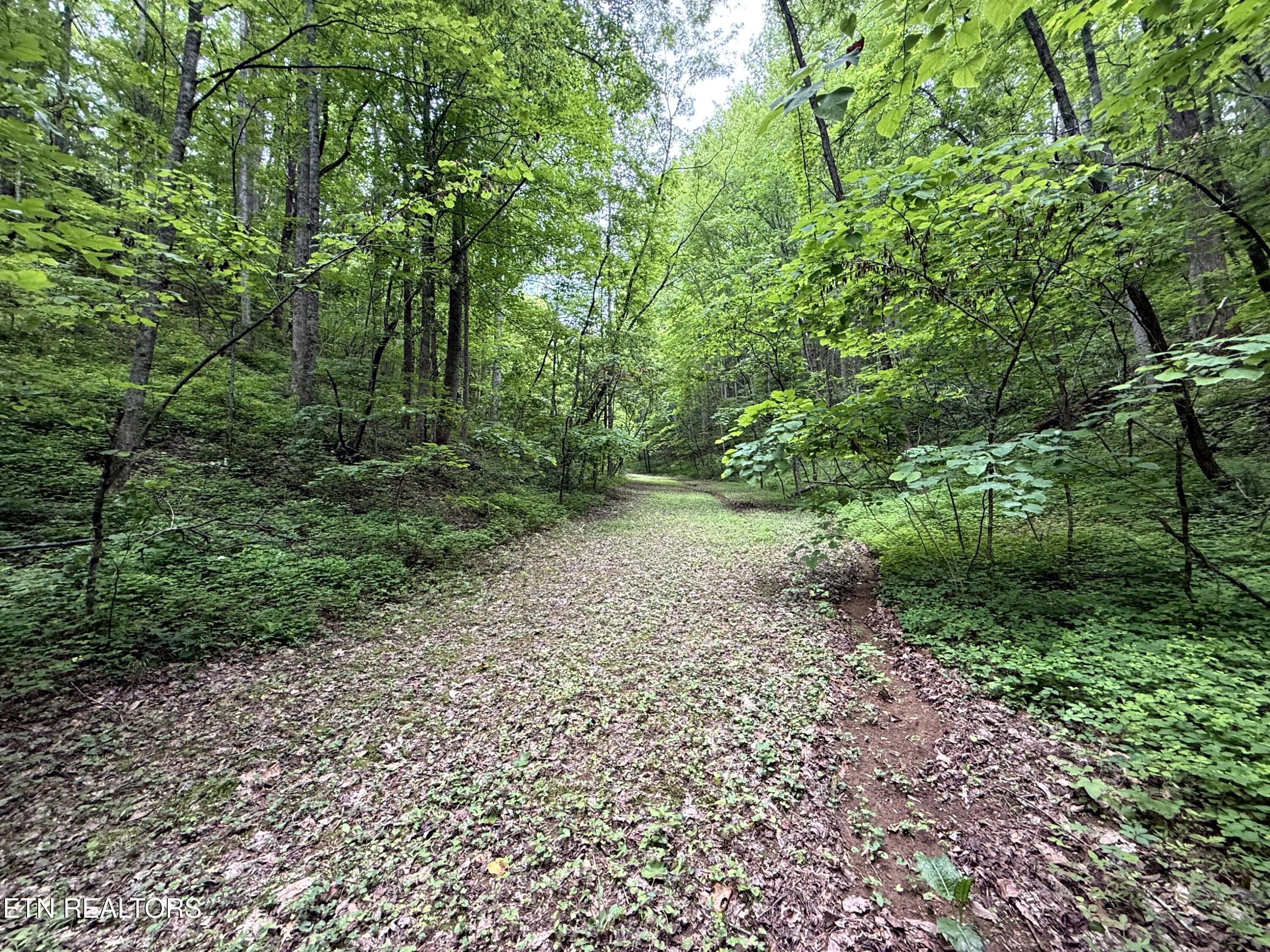 2110 Duck Pond Lane Sevierville TN 37876