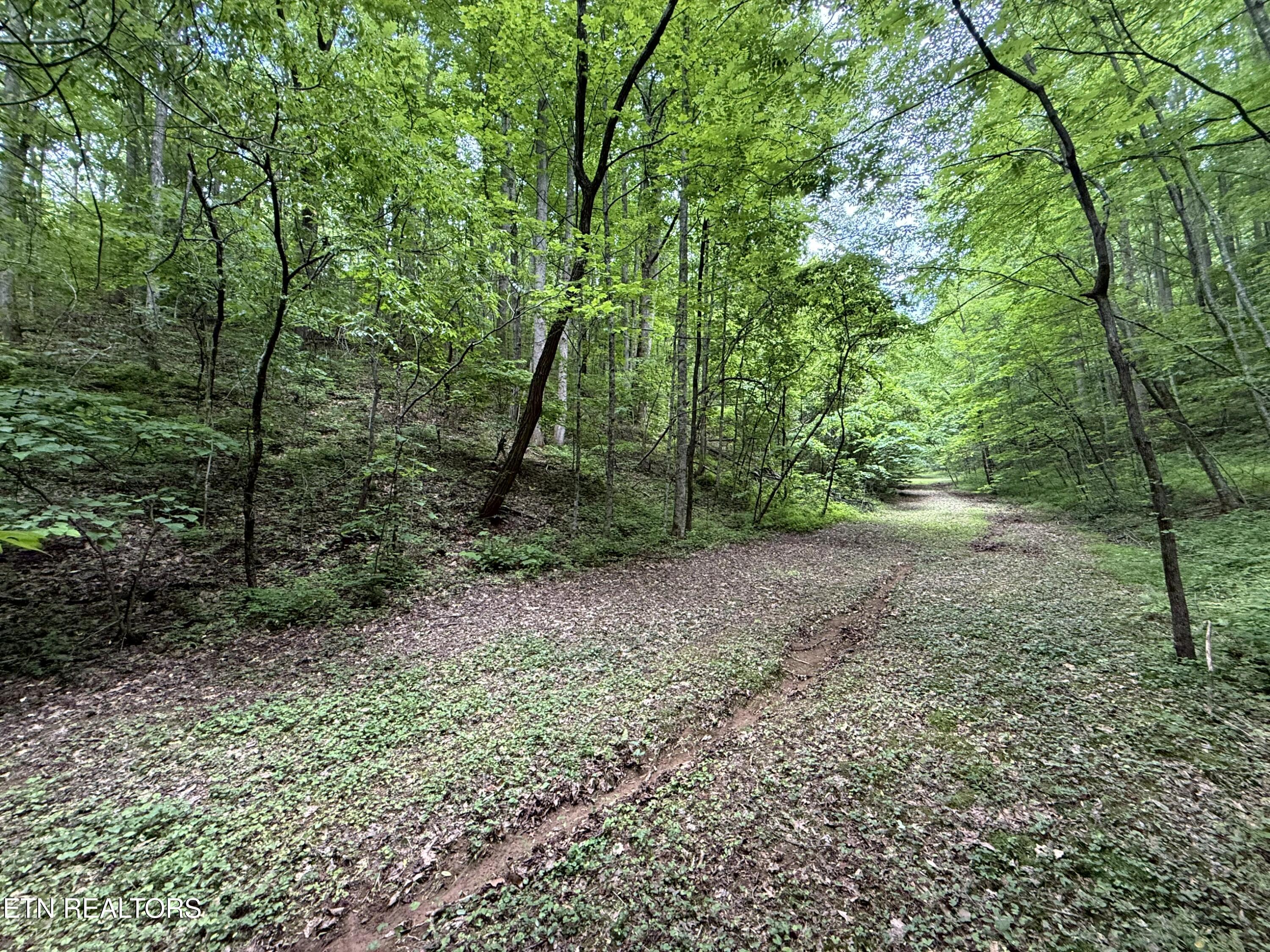 2110 Duck Pond Lane Sevierville TN 37876