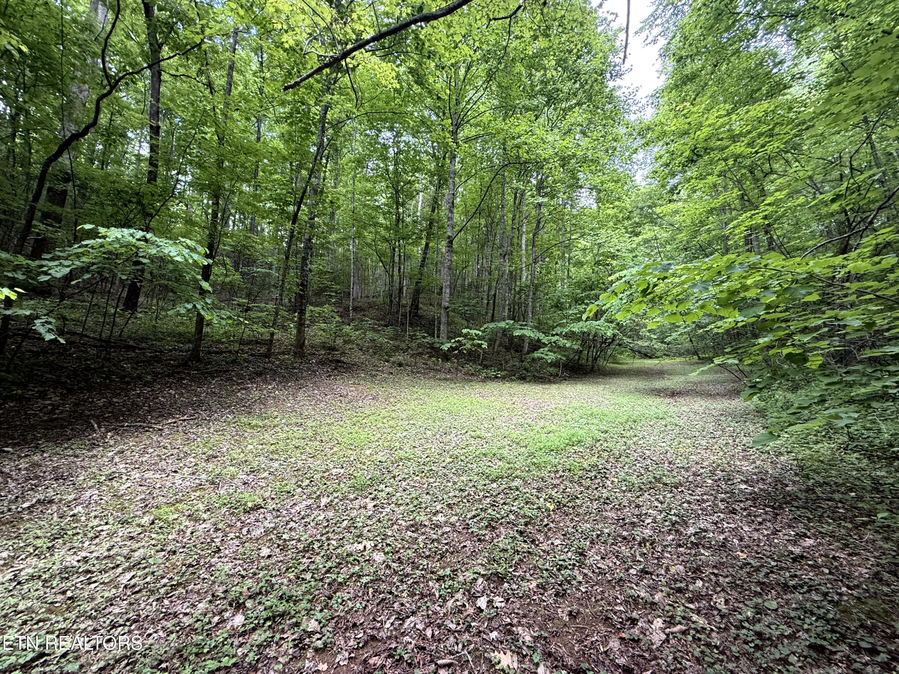 2110 Duck Pond Lane Sevierville TN 37876