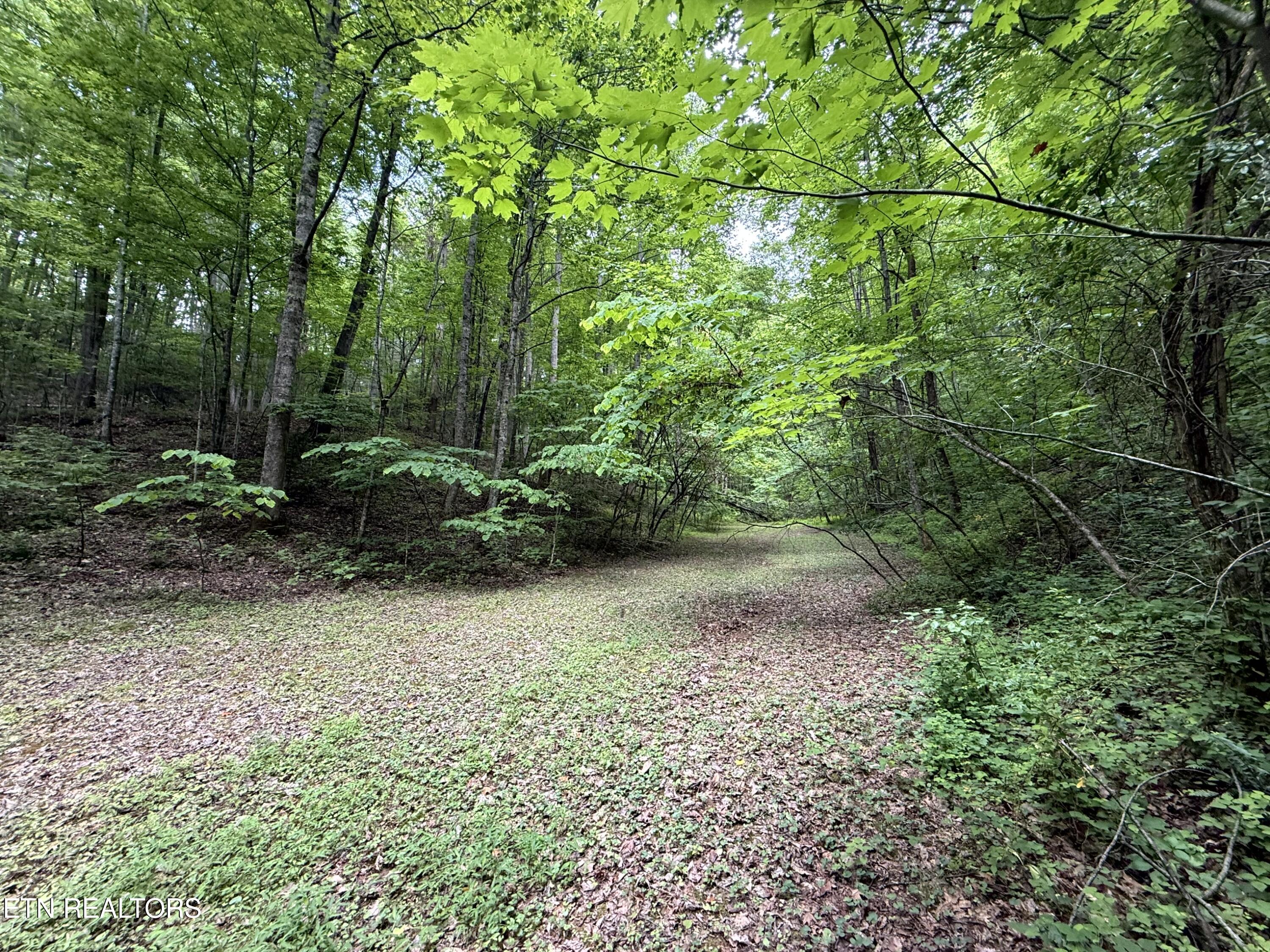 2110 Duck Pond Lane Sevierville TN 37876