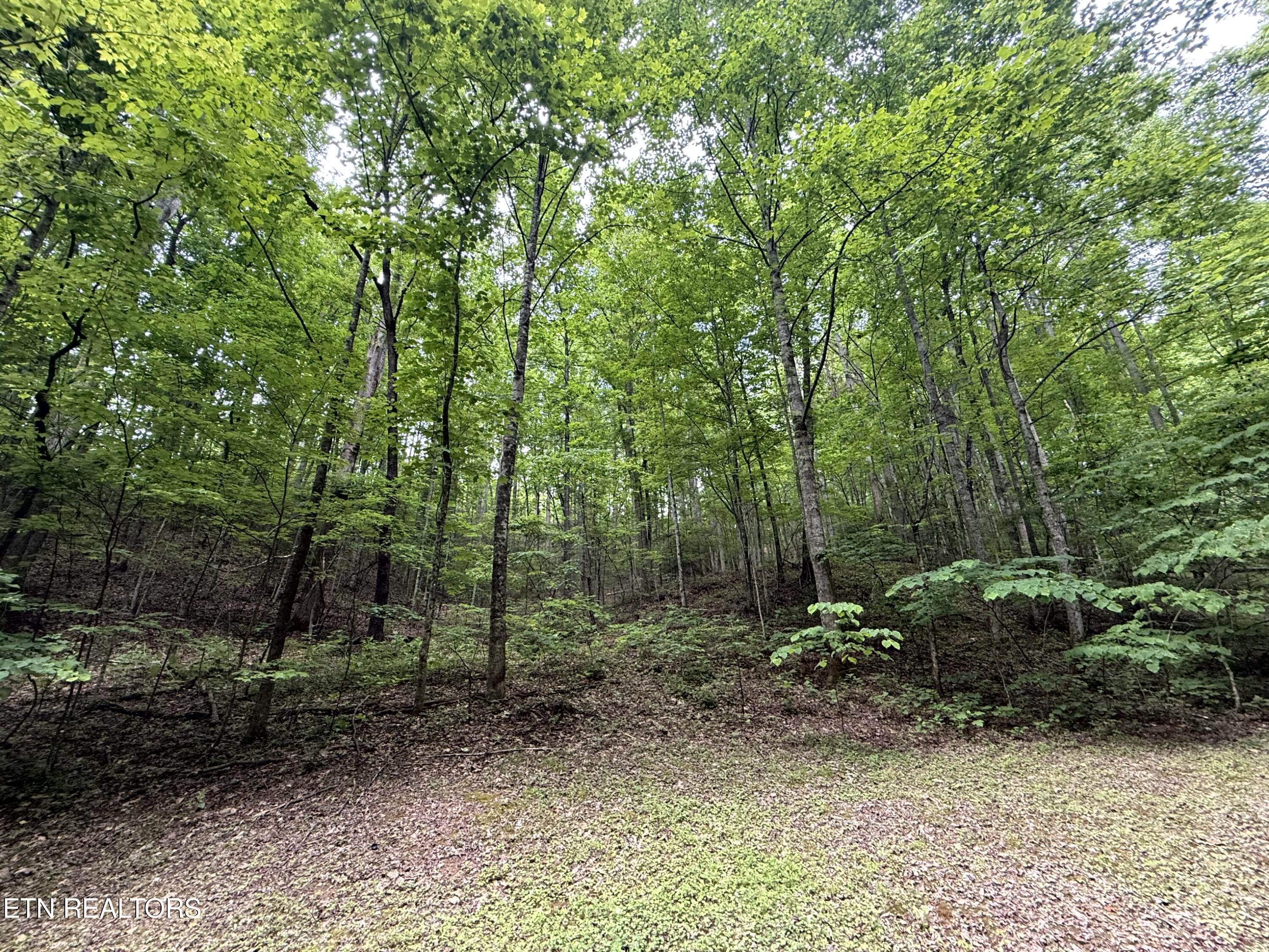 2110 Duck Pond Lane Sevierville TN 37876