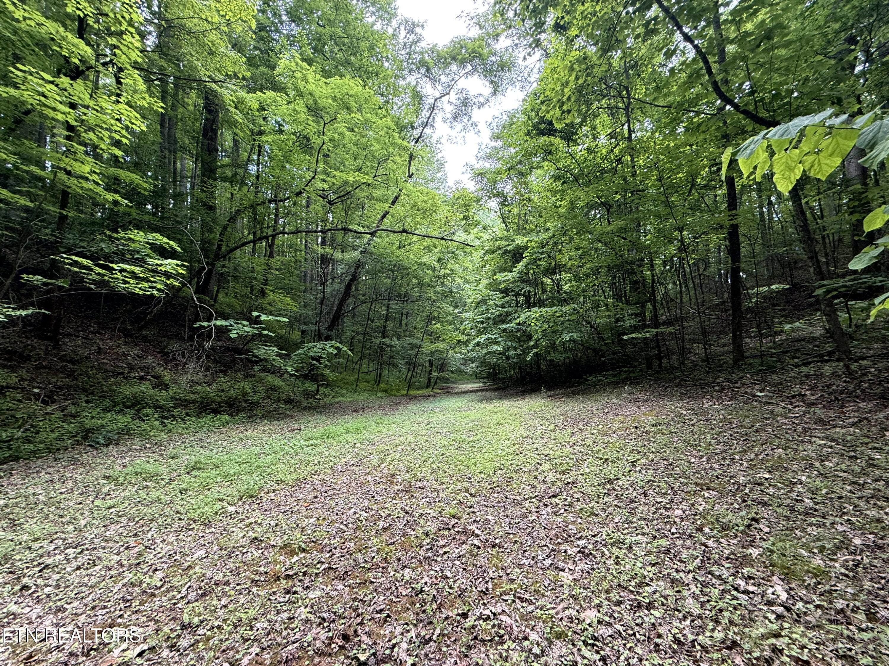 2110 Duck Pond Lane Sevierville TN 37876