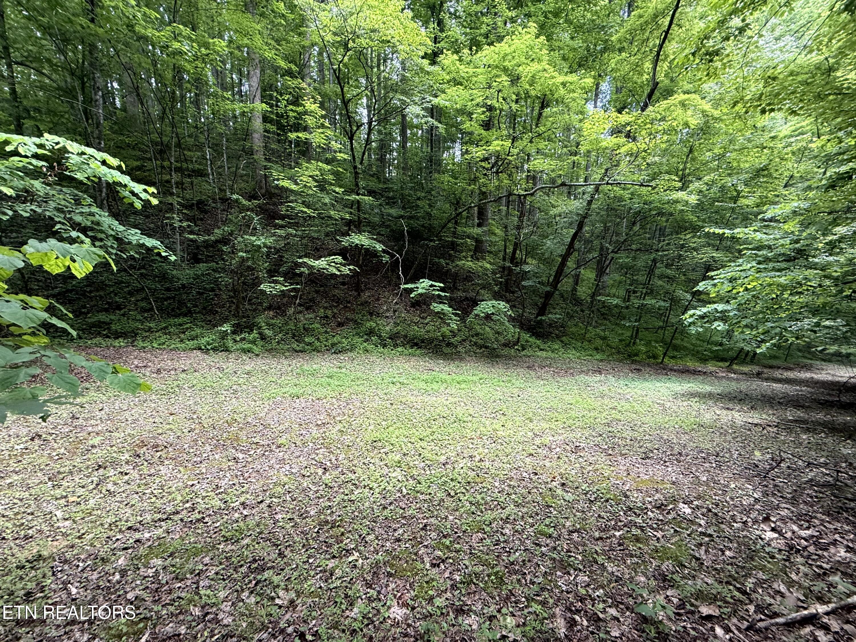 2110 Duck Pond Lane Sevierville TN 37876
