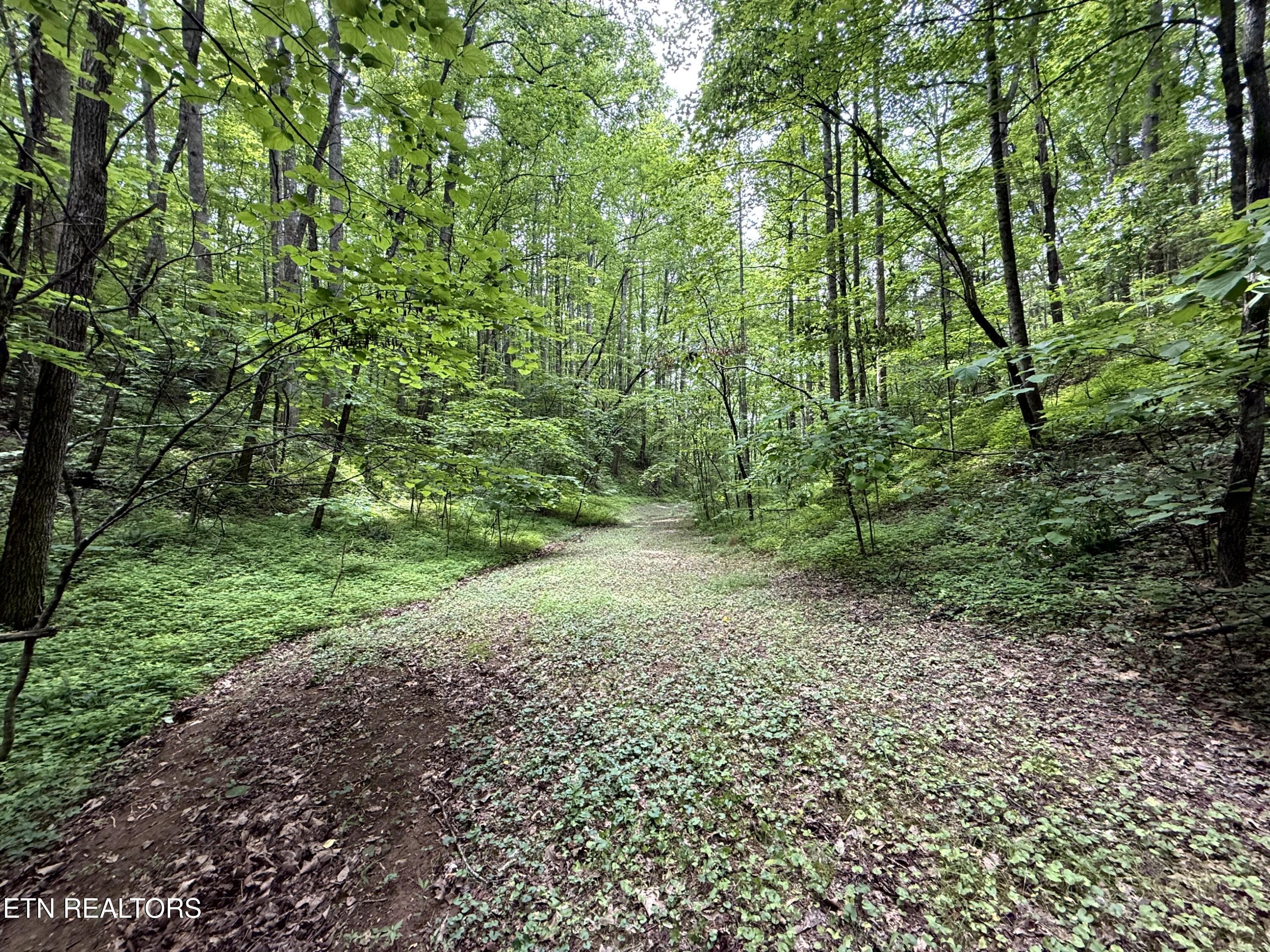 2110 Duck Pond Lane Sevierville TN 37876