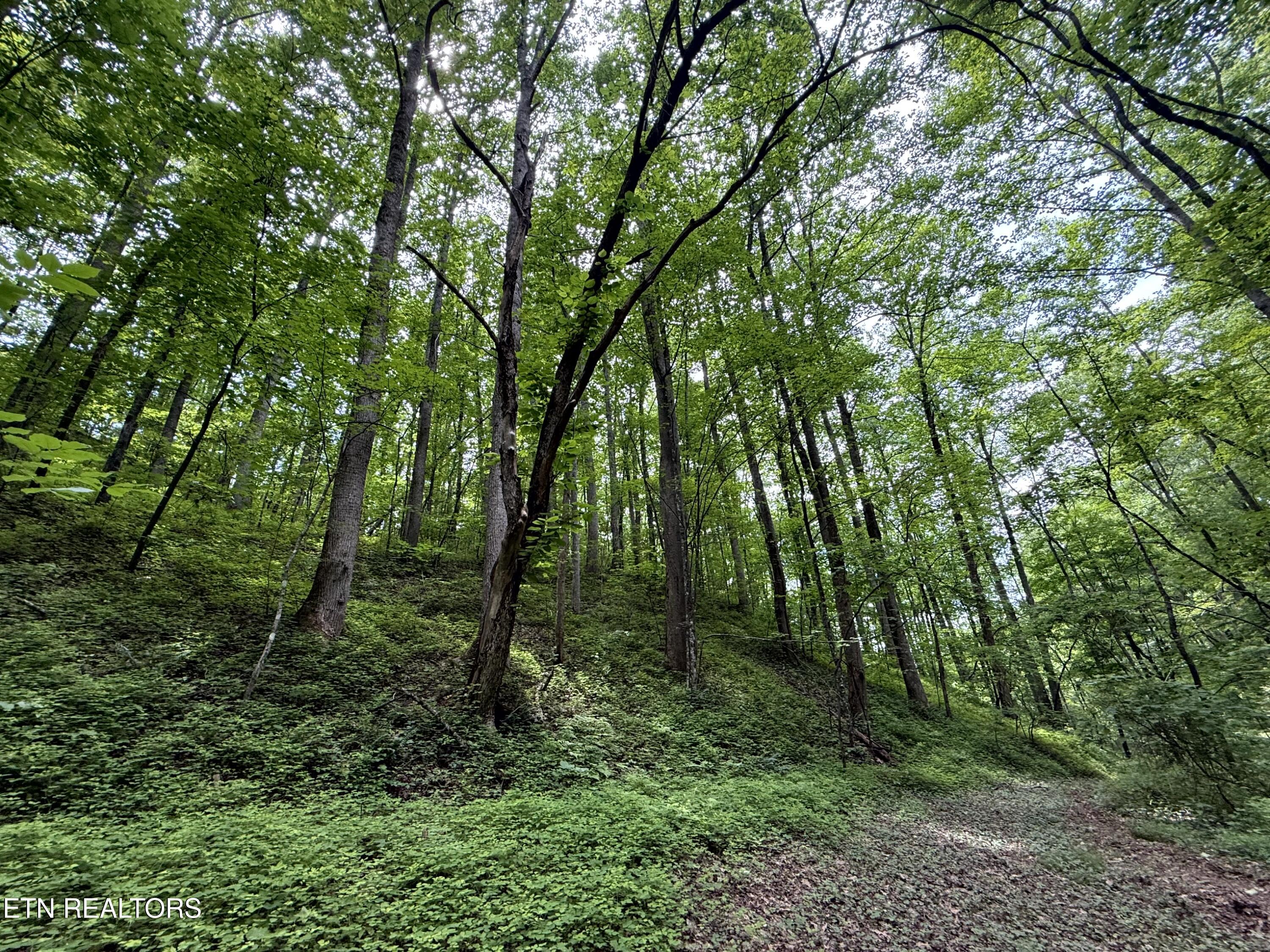2110 Duck Pond Lane Sevierville TN 37876