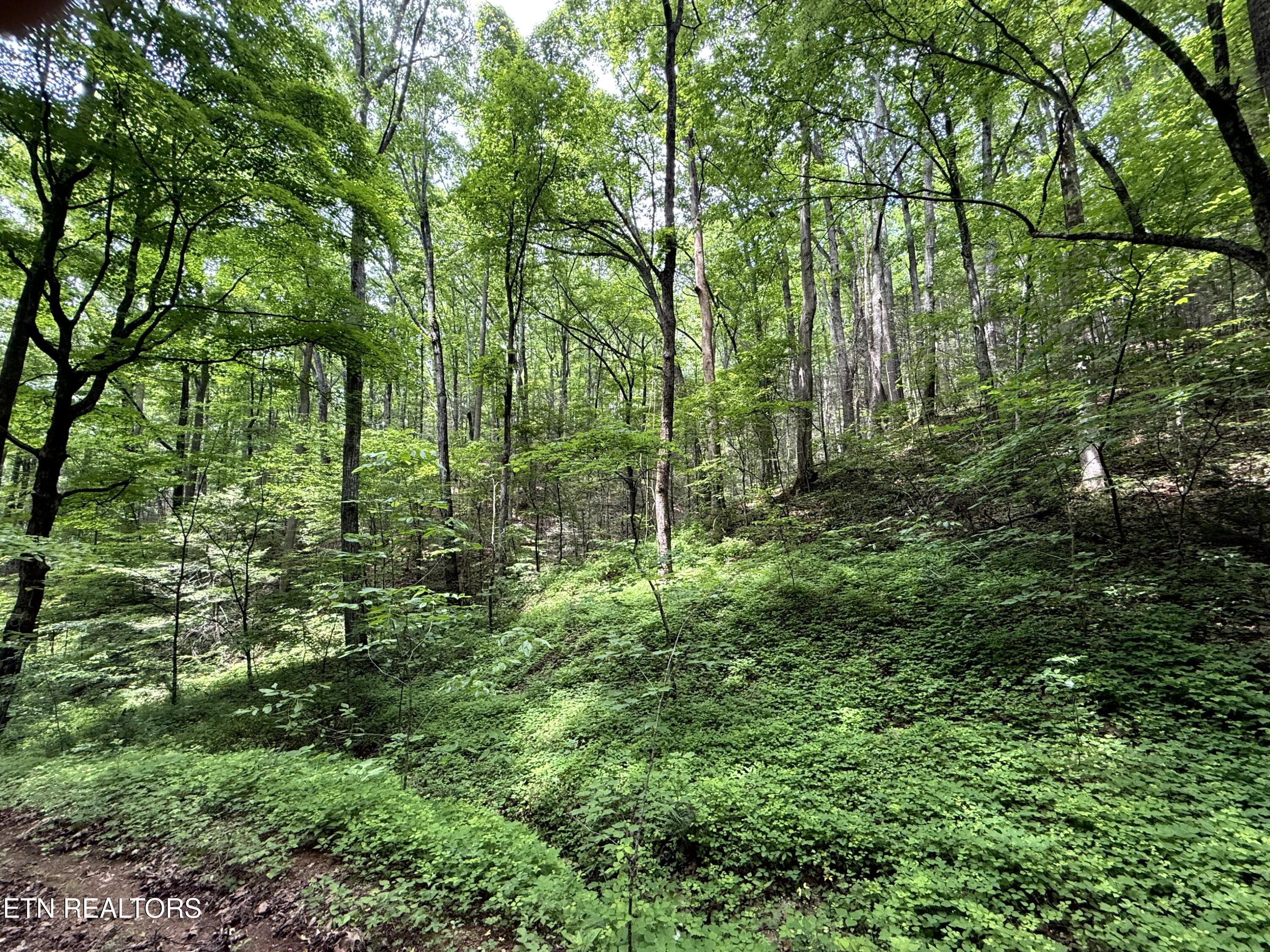 2110 Duck Pond Lane Sevierville TN 37876