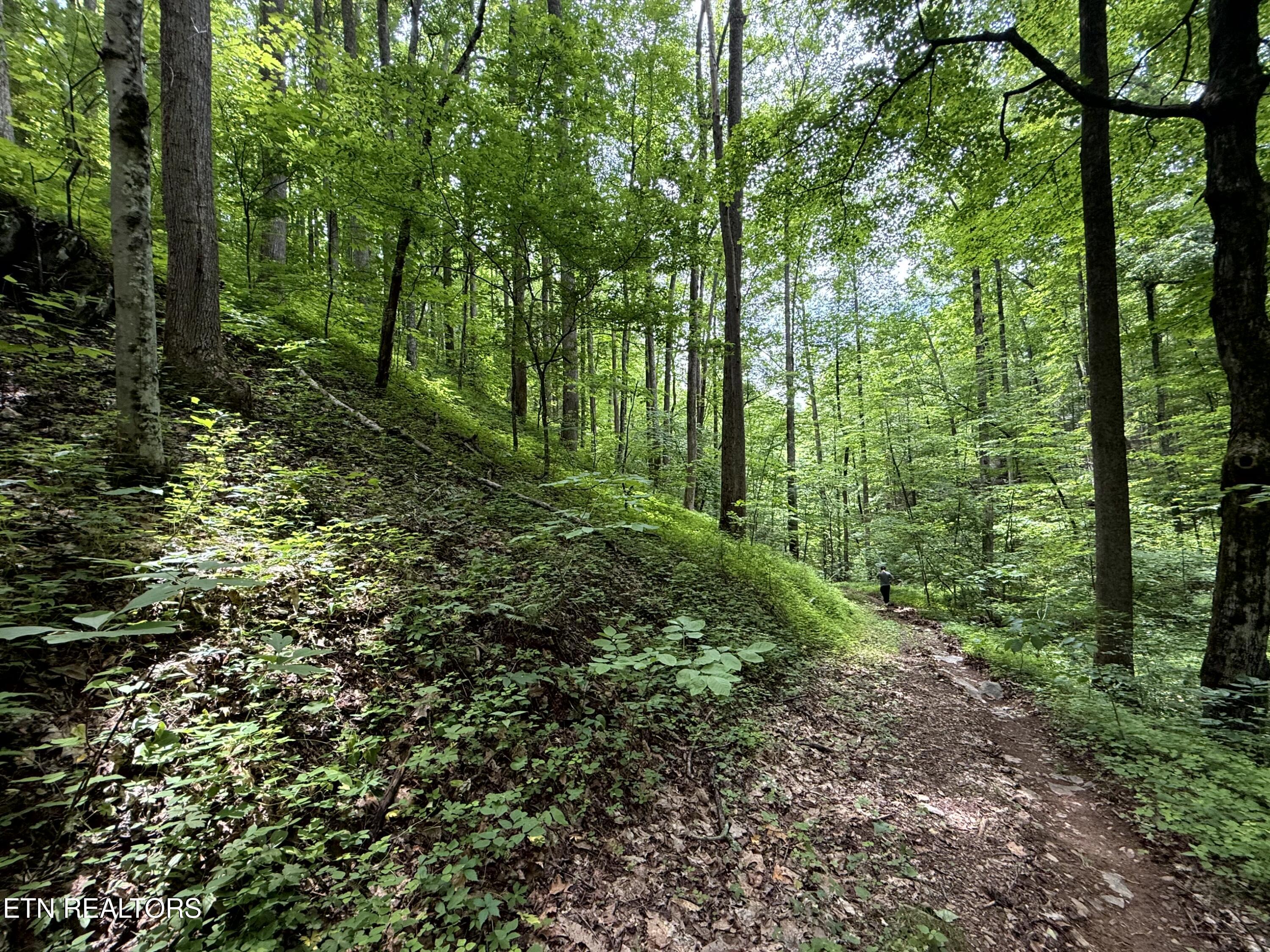2110 Duck Pond Lane Sevierville TN 37876