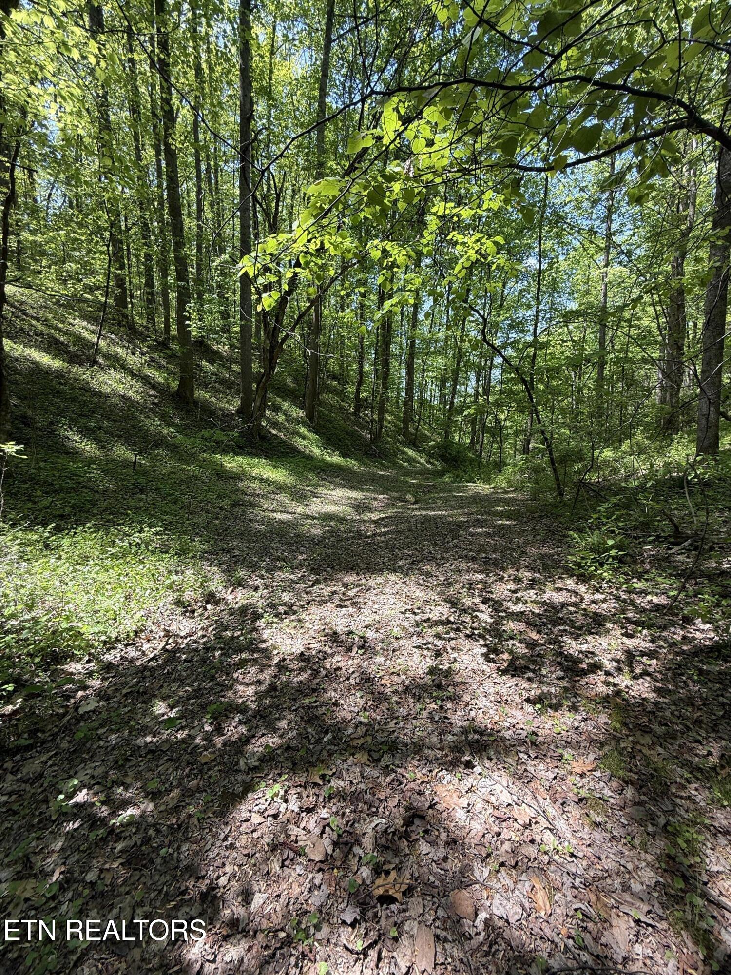 2110 Duck Pond Lane Sevierville TN 37876