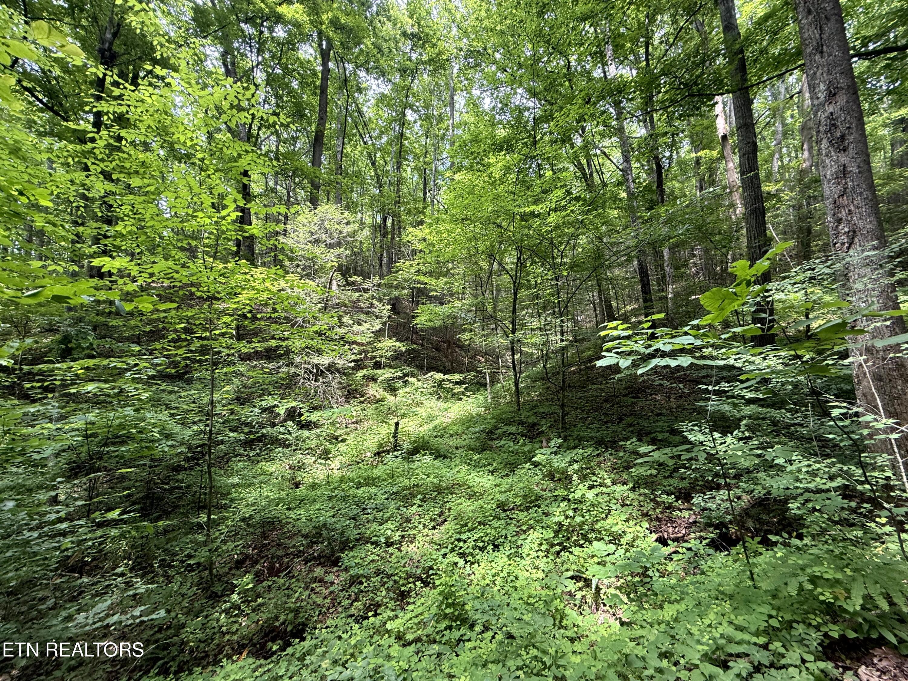 2110 Duck Pond Lane Sevierville TN 37876